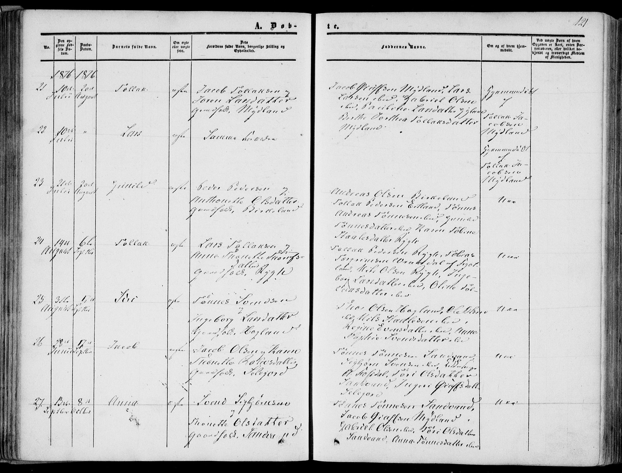 Bakke sokneprestkontor, AV/SAK-1111-0002/F/Fa/Fab/L0002: Parish register (official) no. A 2, 1855-1884, p. 121