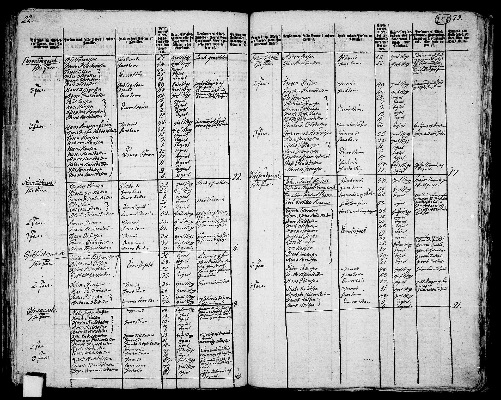 RA, 1801 census for 0136P Rygge, 1801, p. 254b-255a