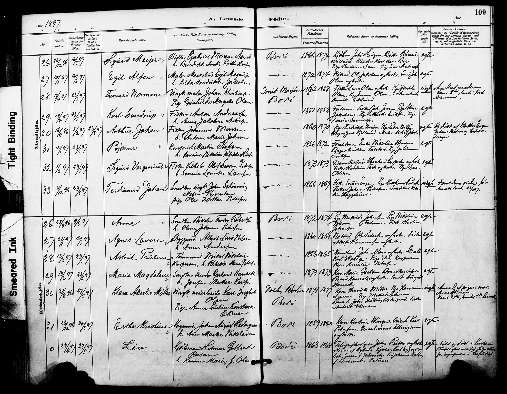 Ministerialprotokoller, klokkerbøker og fødselsregistre - Nordland, AV/SAT-A-1459/801/L0010: Parish register (official) no. 801A10, 1888-1899, p. 109