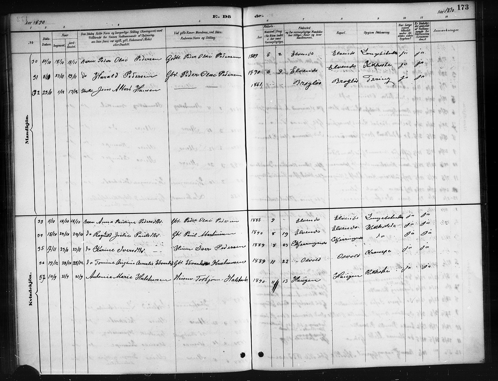 Ministerialprotokoller, klokkerbøker og fødselsregistre - Nordland, AV/SAT-A-1459/895/L1382: Parish register (copy) no. 895C04, 1885-1896, p. 173