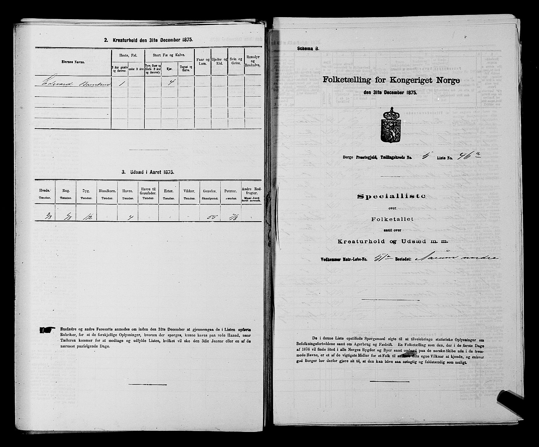 RA, 1875 census for 0113P Borge, 1875, p. 780