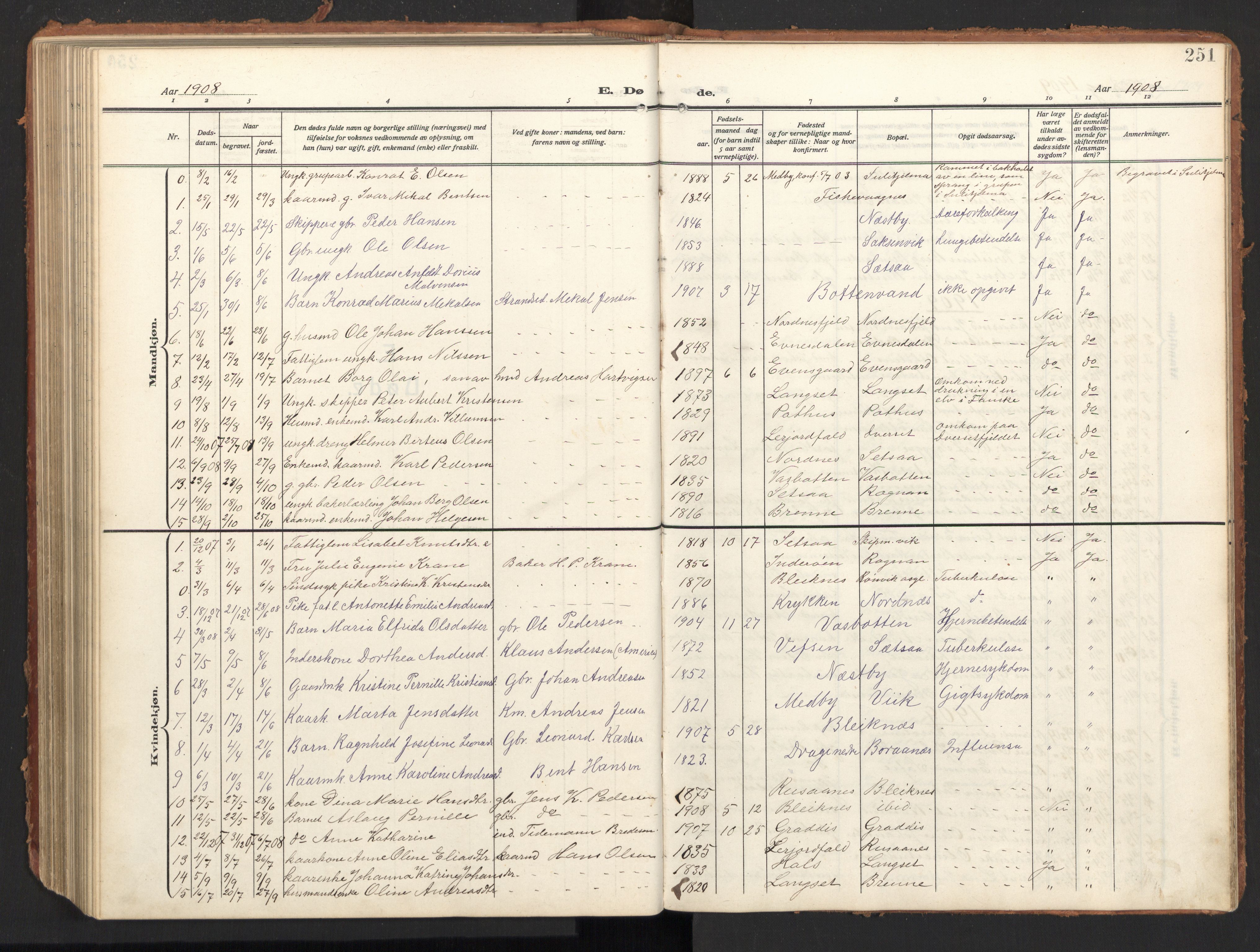 Ministerialprotokoller, klokkerbøker og fødselsregistre - Nordland, SAT/A-1459/847/L0683: Parish register (copy) no. 847C11, 1908-1929, p. 251