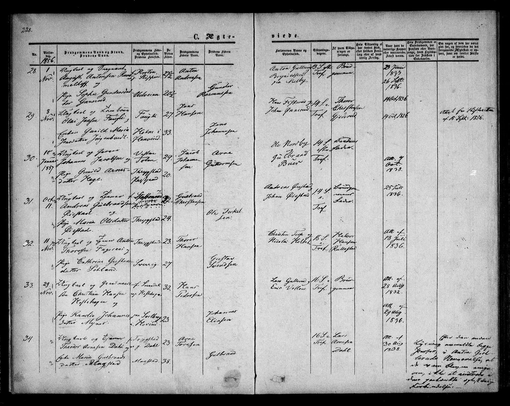 Trøgstad prestekontor Kirkebøker, AV/SAO-A-10925/F/Fa/L0008.b: Parish register (official) no. I 8B, 1855-1864, p. 228