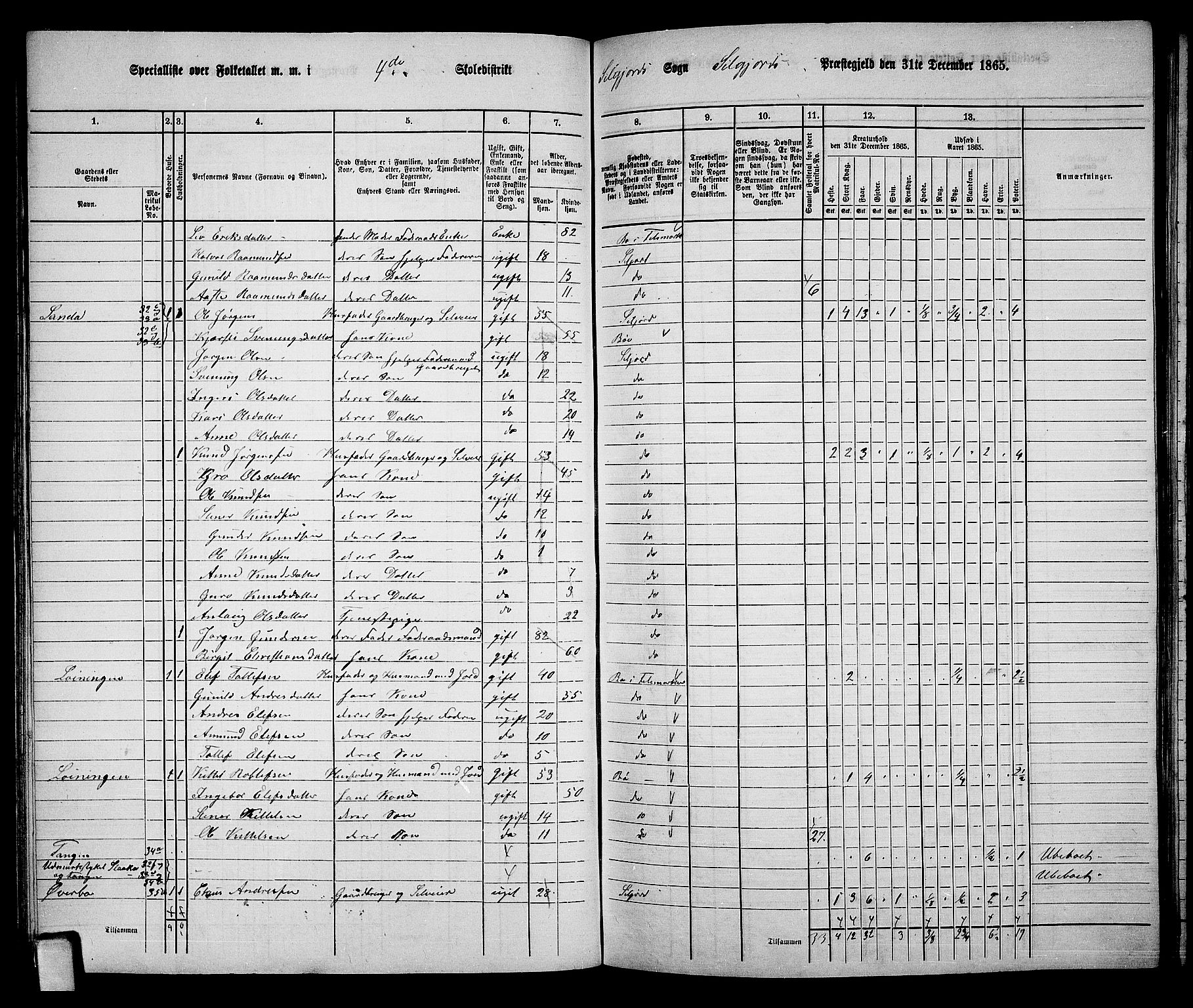 RA, 1865 census for Seljord, 1865, p. 73