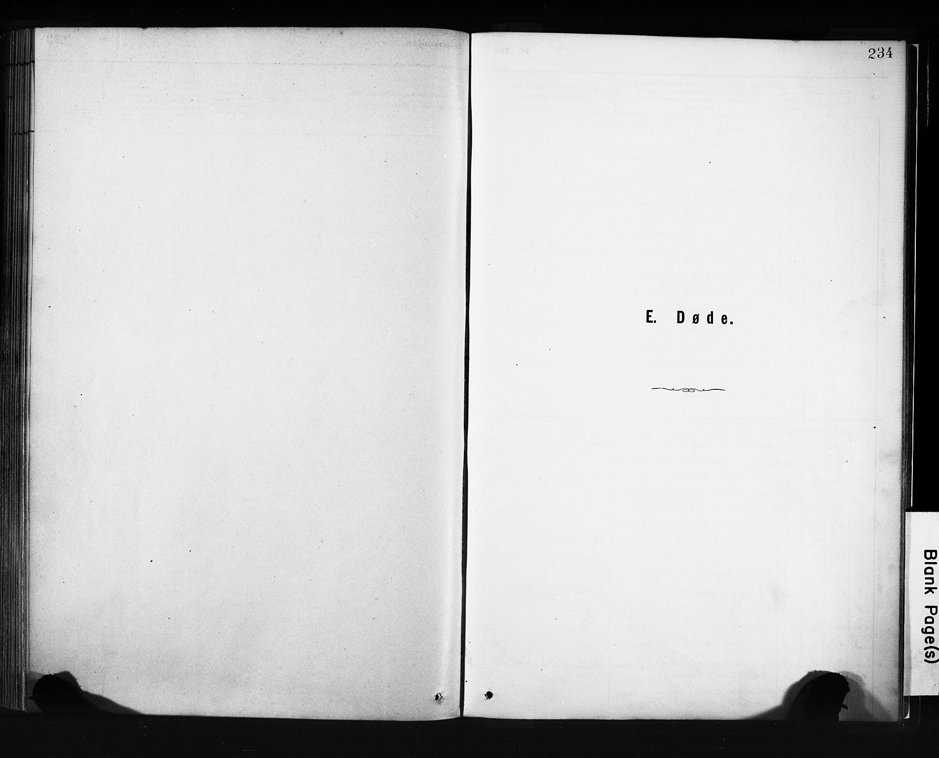 Evanger sokneprestembete, SAB/A-99924: Parish register (official) no. A 1, 1877-1899, p. 234