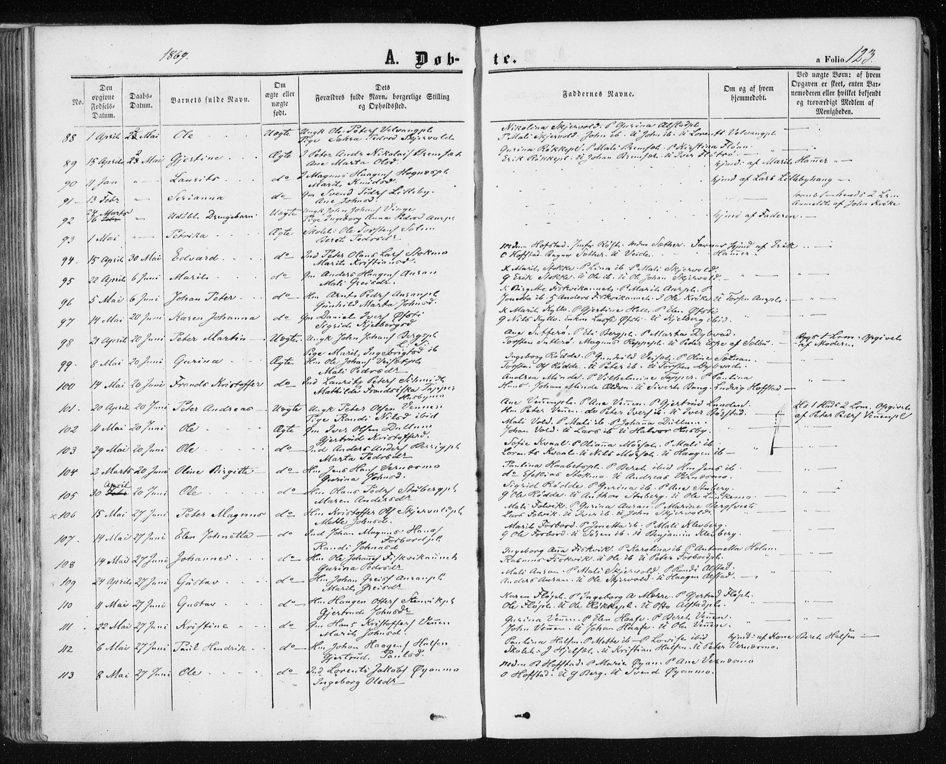 Ministerialprotokoller, klokkerbøker og fødselsregistre - Nord-Trøndelag, AV/SAT-A-1458/709/L0075: Parish register (official) no. 709A15, 1859-1870, p. 123