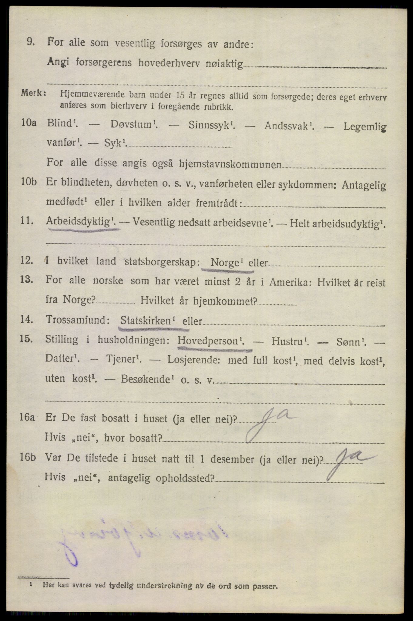 SAKO, 1920 census for Nes (Buskerud), 1920, p. 1269