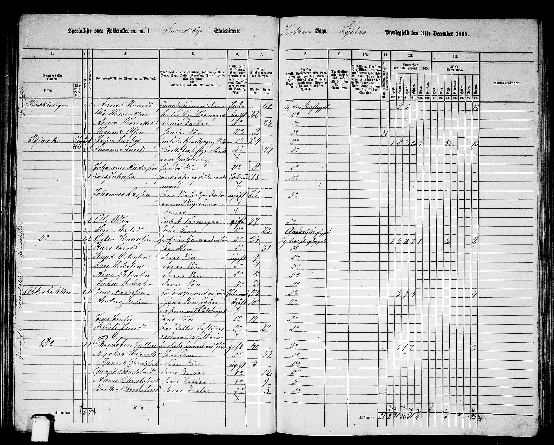 RA, 1865 census for Luster, 1865, p. 48