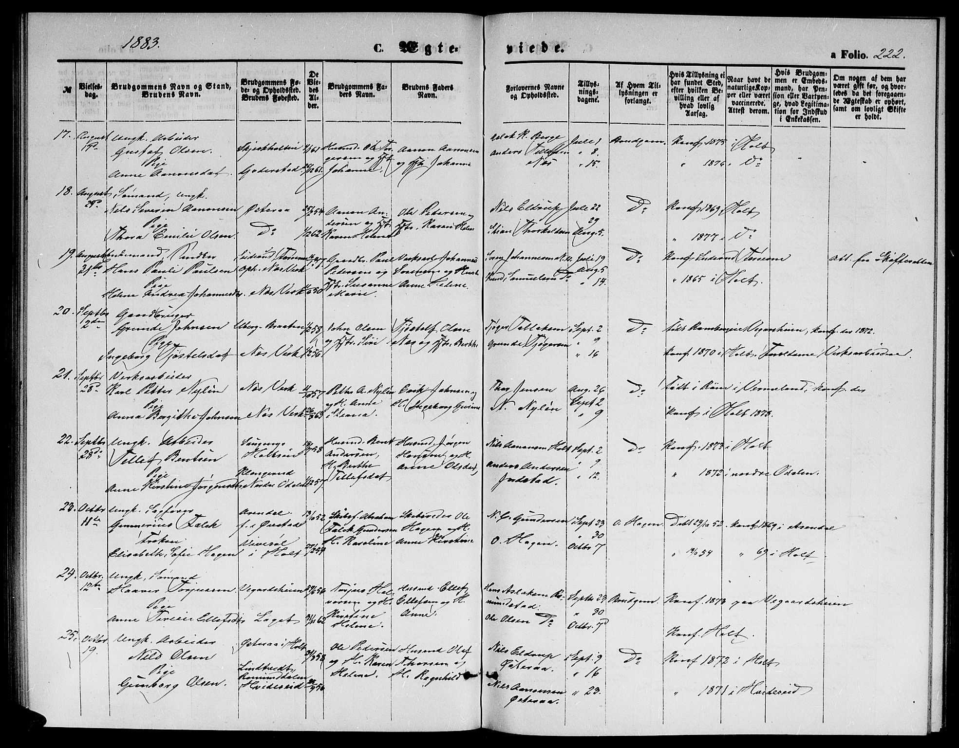 Holt sokneprestkontor, SAK/1111-0021/F/Fb/L0009: Parish register (copy) no. B 9, 1871-1883, p. 222