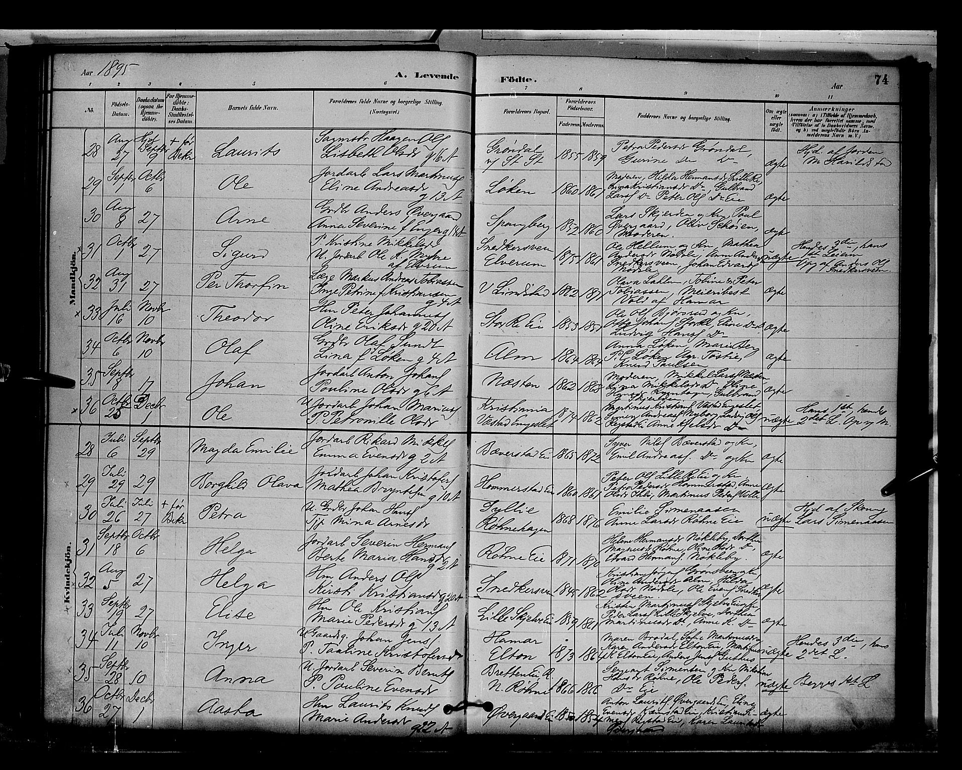 Stange prestekontor, AV/SAH-PREST-002/L/L0009: Parish register (copy) no. 9, 1883-1899, p. 74