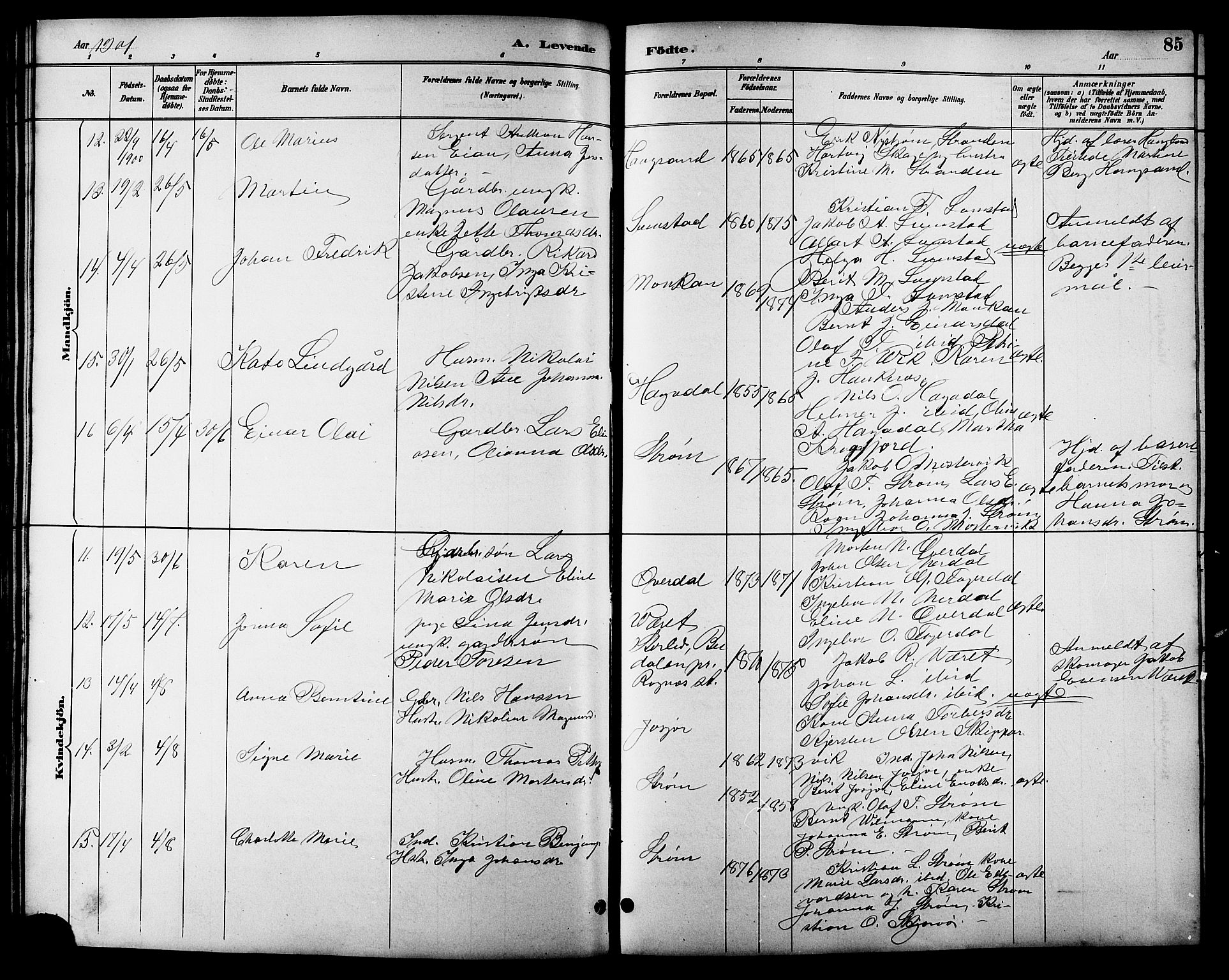 Ministerialprotokoller, klokkerbøker og fødselsregistre - Sør-Trøndelag, AV/SAT-A-1456/657/L0716: Parish register (copy) no. 657C03, 1889-1904, p. 85