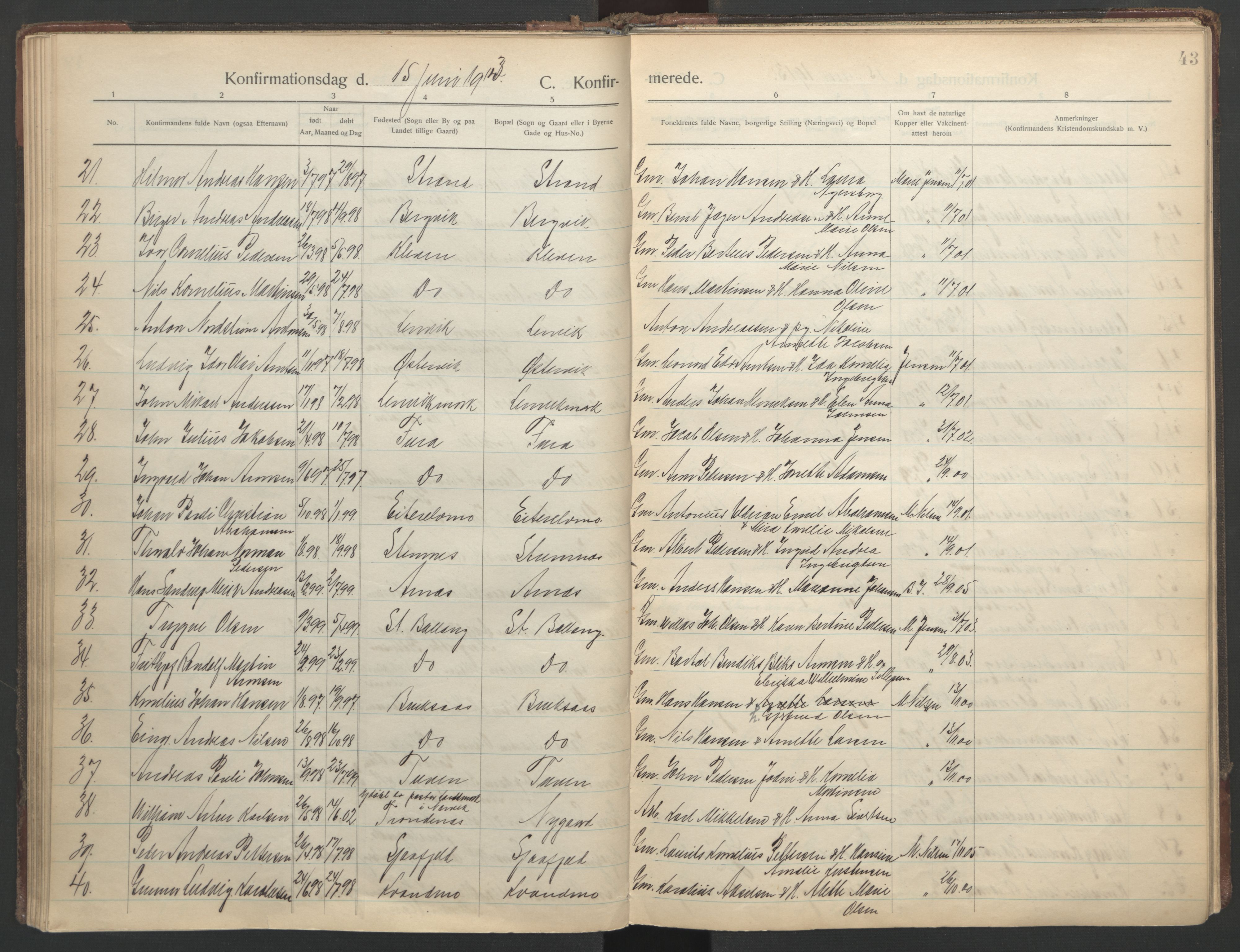 Ministerialprotokoller, klokkerbøker og fødselsregistre - Nordland, AV/SAT-A-1459/863/L0901: Parish register (official) no. 863A13, 1906-1934, p. 43