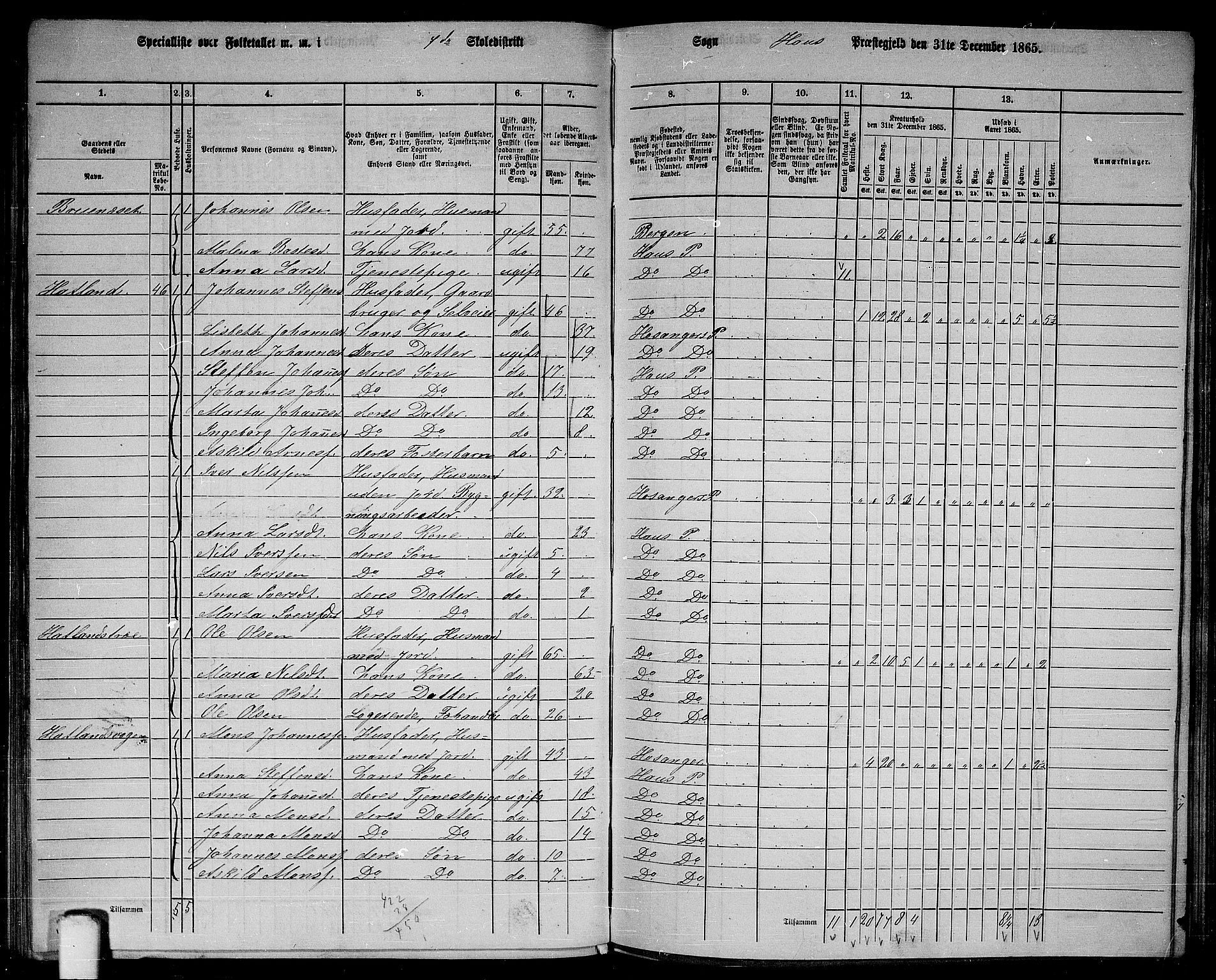 RA, 1865 census for Haus, 1865, p. 145