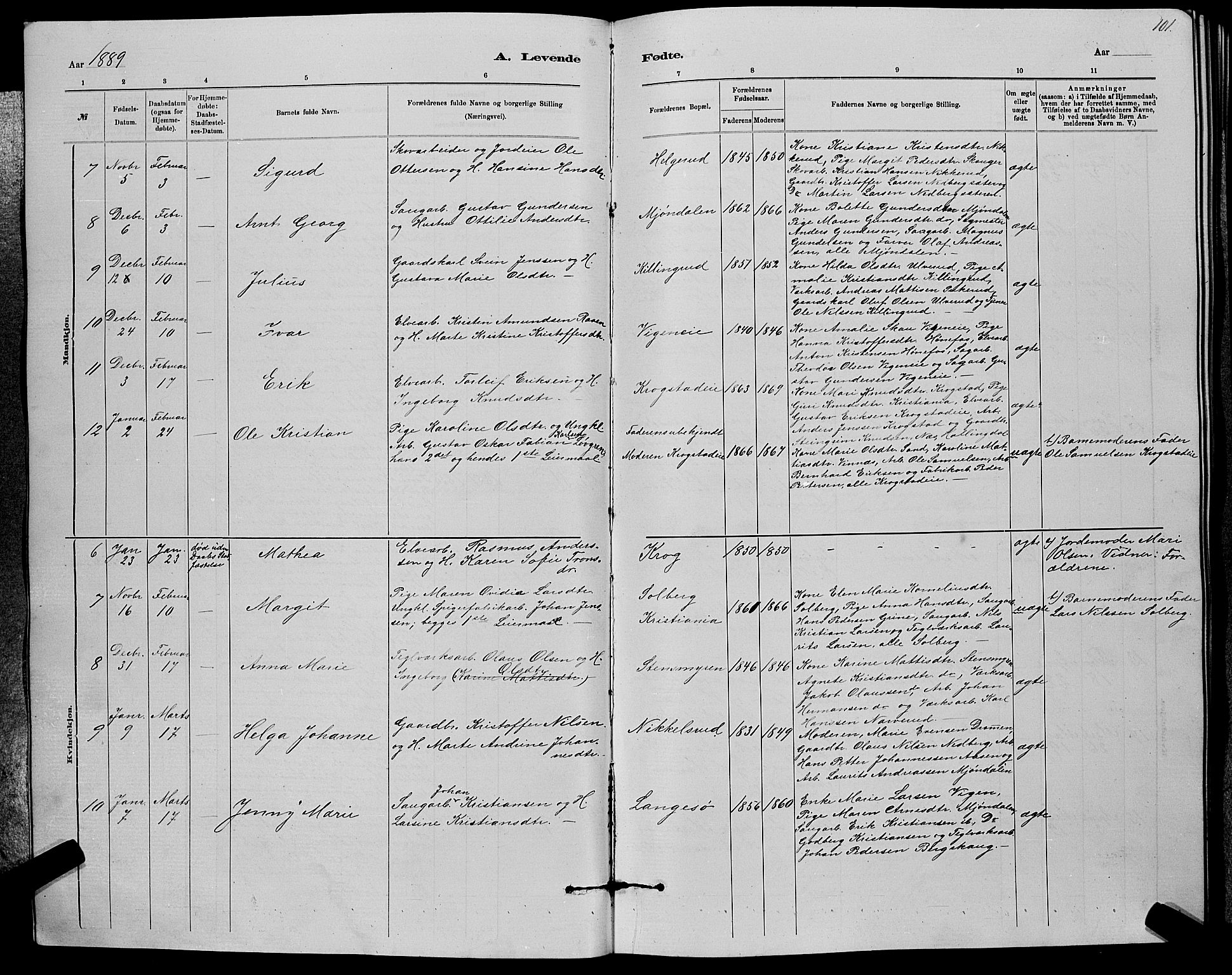 Nedre Eiker kirkebøker, AV/SAKO-A-612/G/Ga/L0002: Parish register (copy) no. 2, 1880-1896, p. 101