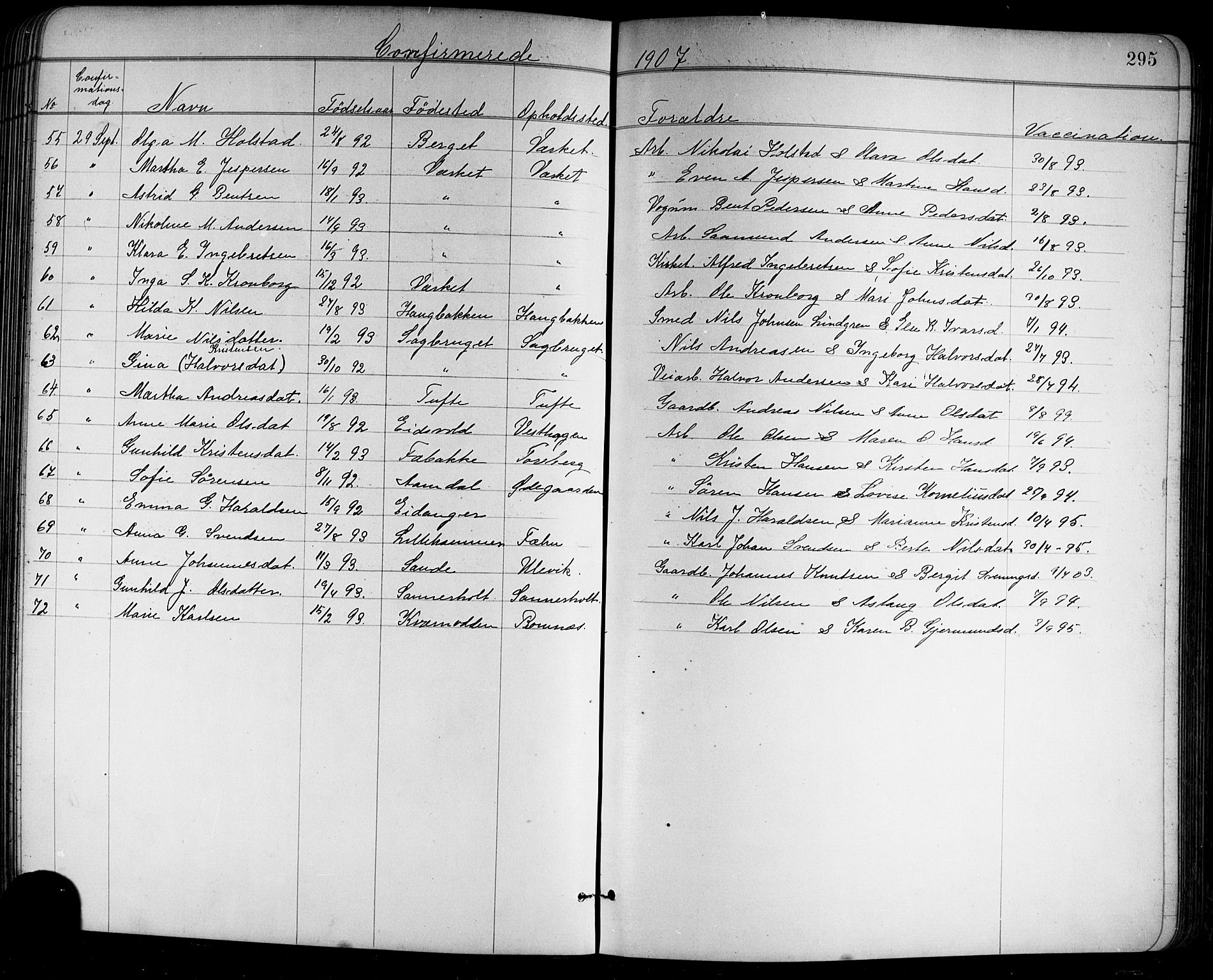Holla kirkebøker, AV/SAKO-A-272/G/Ga/L0005: Parish register (copy) no. I 5, 1891-1917, p. 295
