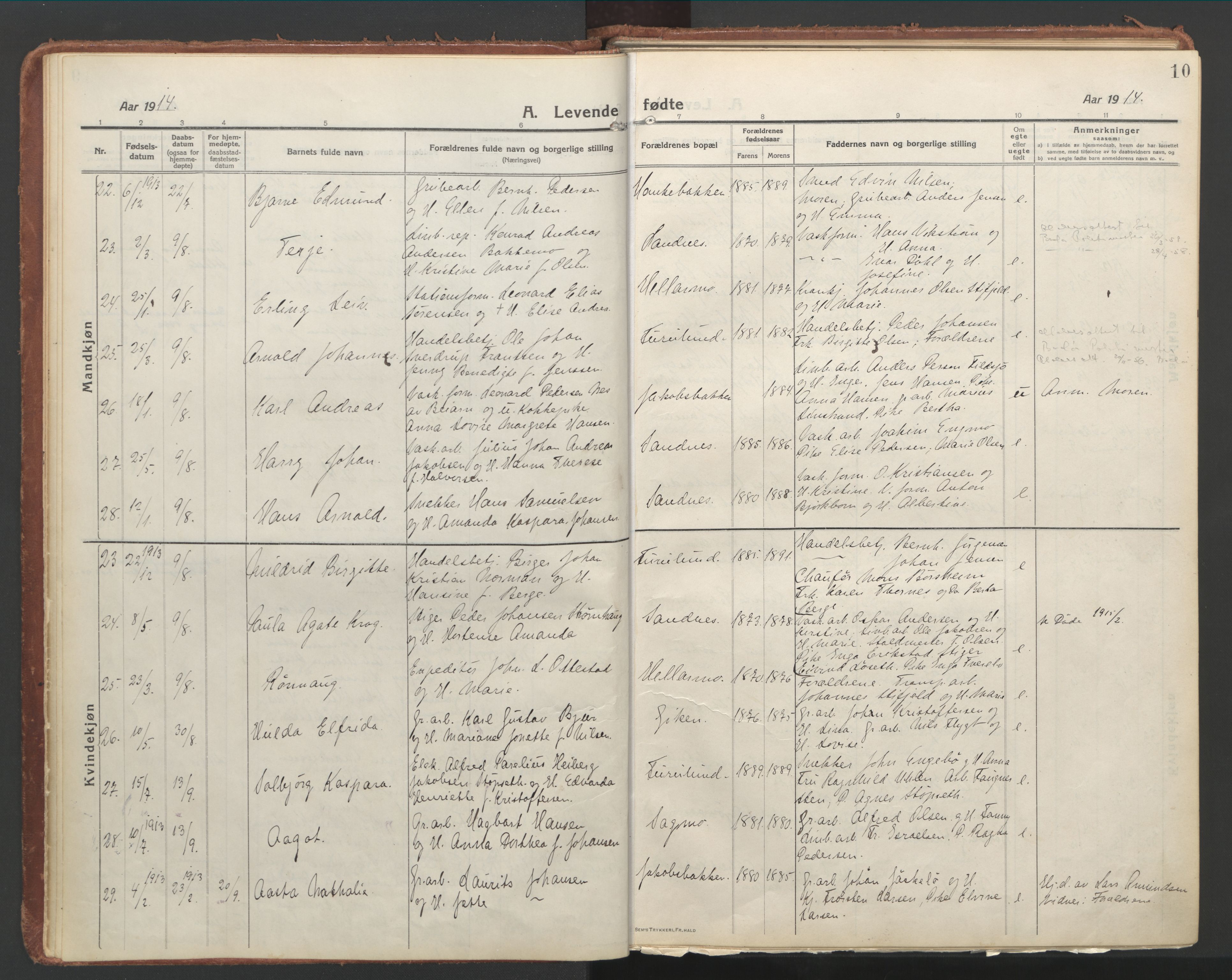 Ministerialprotokoller, klokkerbøker og fødselsregistre - Nordland, AV/SAT-A-1459/850/L0715: Curate's parish register no. 850B05, 1913-1924, p. 10