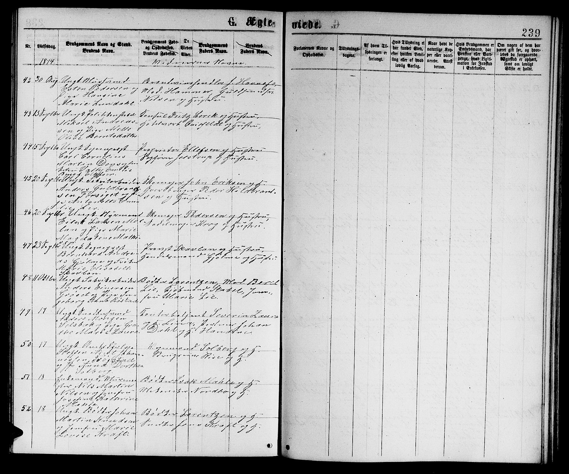 Ministerialprotokoller, klokkerbøker og fødselsregistre - Sør-Trøndelag, AV/SAT-A-1456/601/L0088: Parish register (copy) no. 601C06, 1870-1878, p. 239