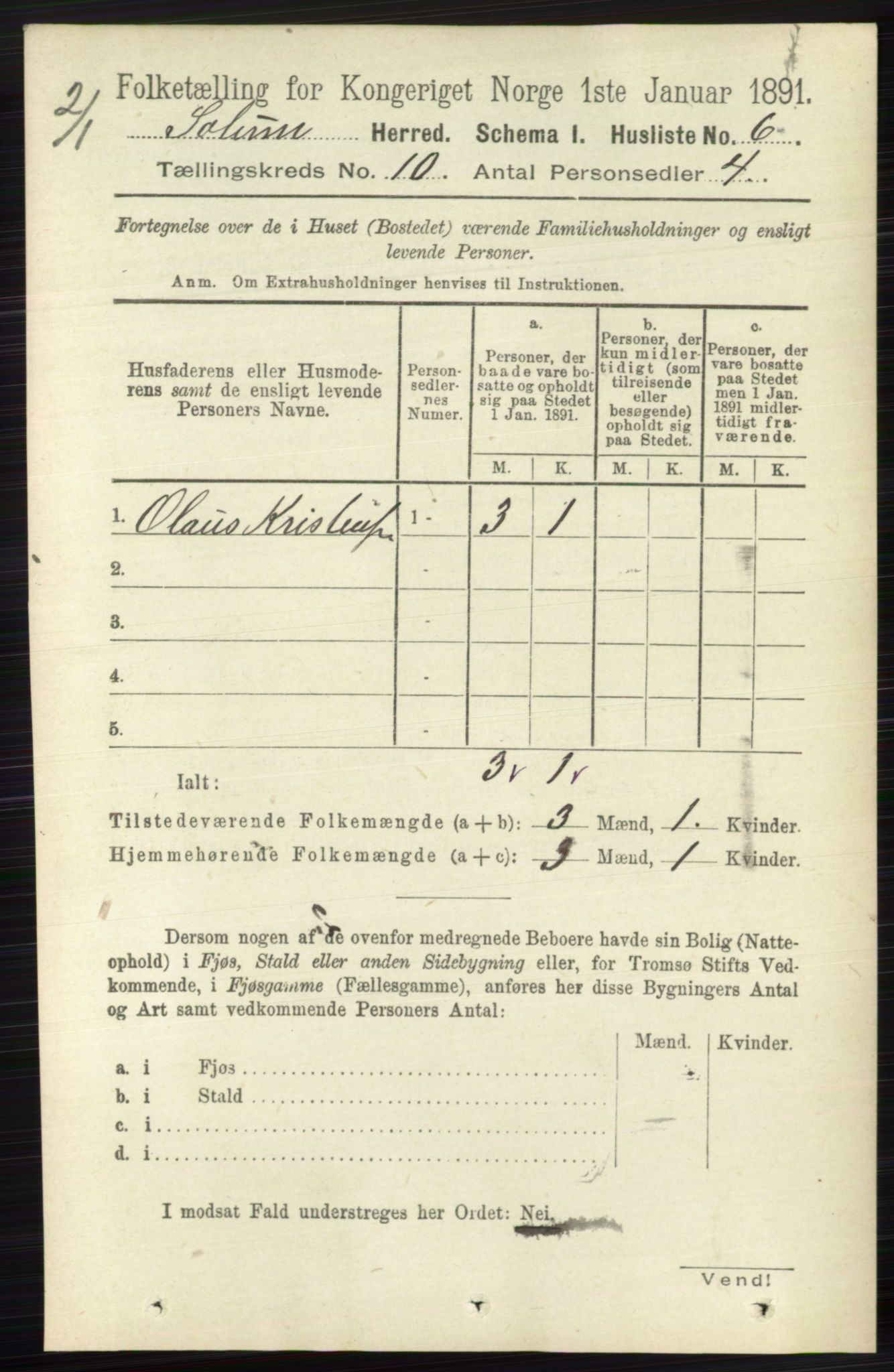 RA, 1891 census for 0818 Solum, 1891, p. 4596