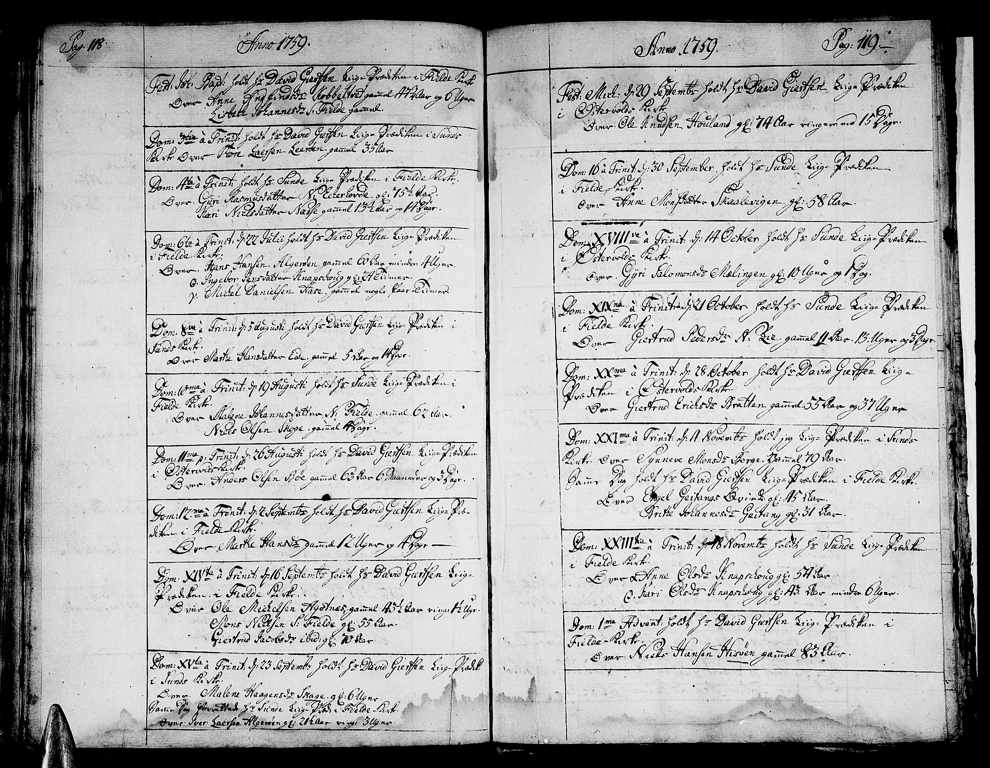 Sund sokneprestembete, AV/SAB-A-99930: Parish register (official) no. A 2, 1729-1769, p. 118-119