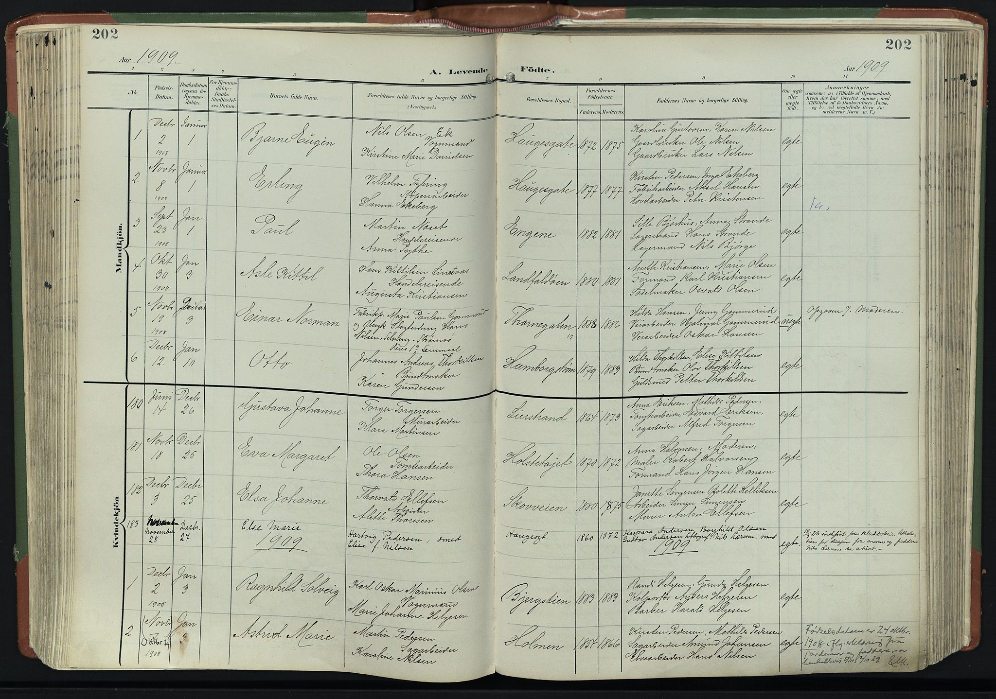 Bragernes kirkebøker, AV/SAKO-A-6/F/Fb/L0009: Parish register (official) no. II 9, 1902-1911, p. 202