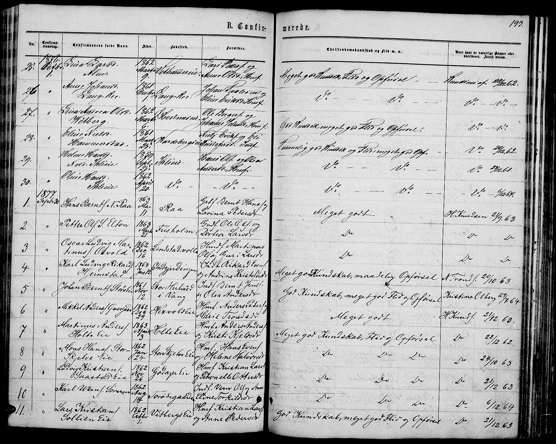 Stange prestekontor, AV/SAH-PREST-002/L/L0006: Parish register (copy) no. 6, 1864-1882, p. 193