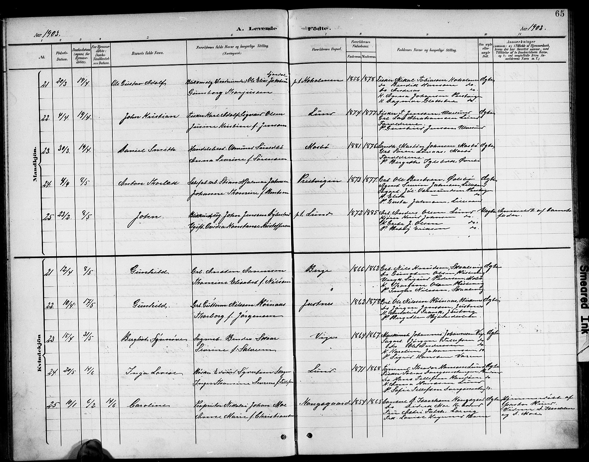 Oddernes sokneprestkontor, AV/SAK-1111-0033/F/Fb/Fba/L0009: Parish register (copy) no. B 9, 1899-1923, p. 65