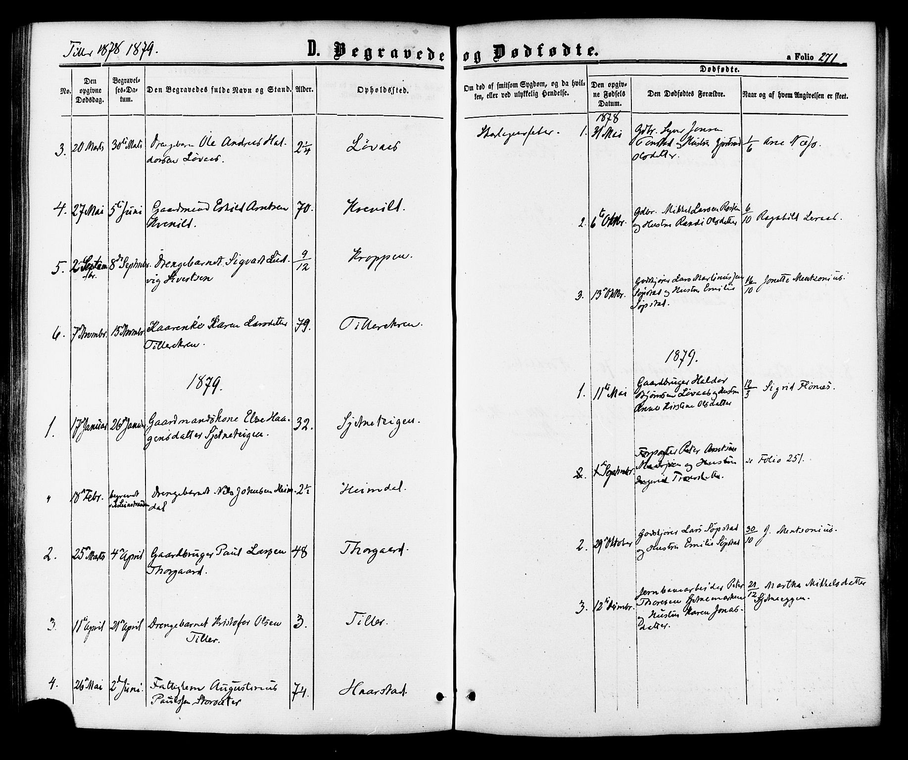 Ministerialprotokoller, klokkerbøker og fødselsregistre - Sør-Trøndelag, SAT/A-1456/618/L0443: Parish register (official) no. 618A06 /2, 1863-1879, p. 271