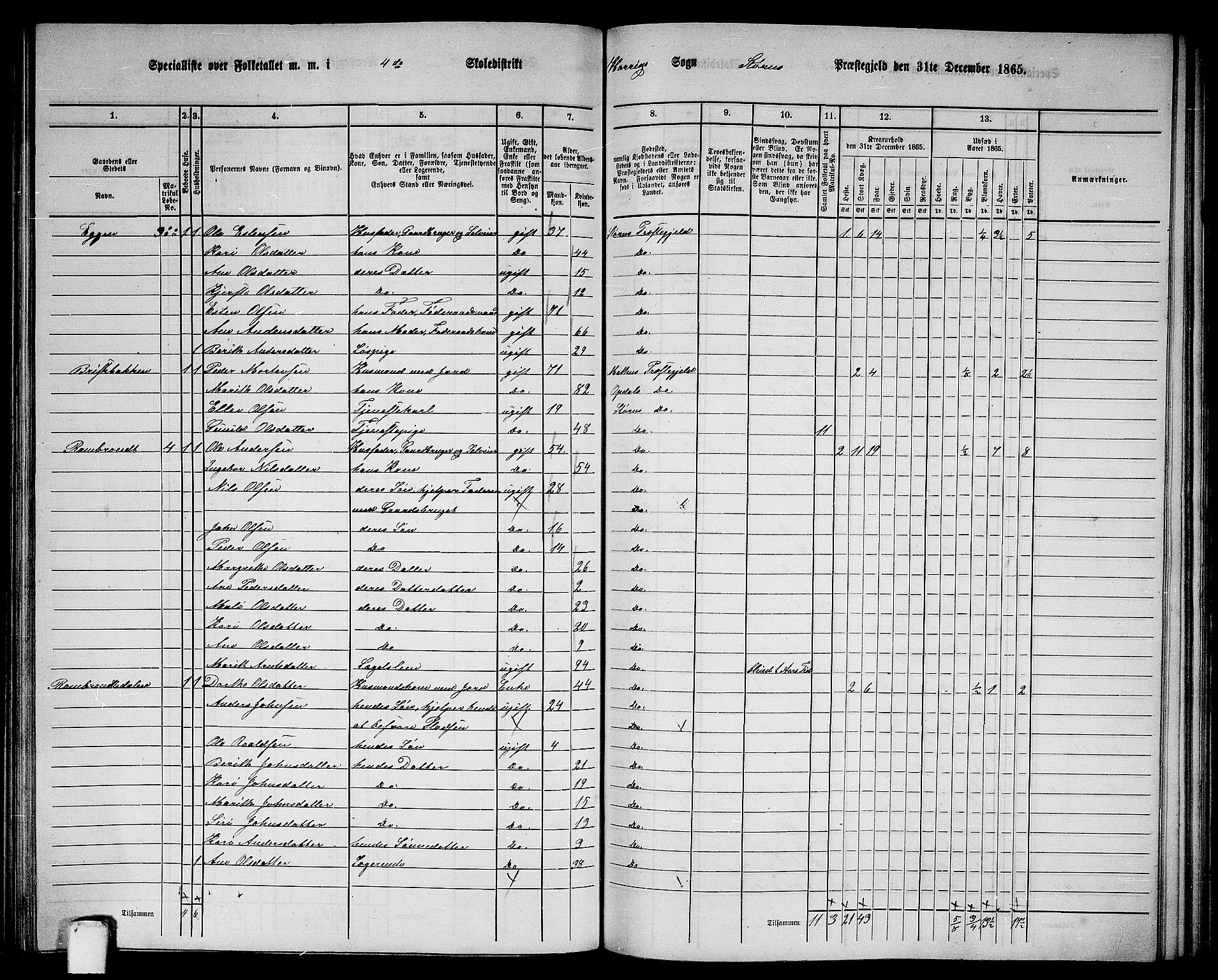 RA, 1865 census for Støren, 1865, p. 173