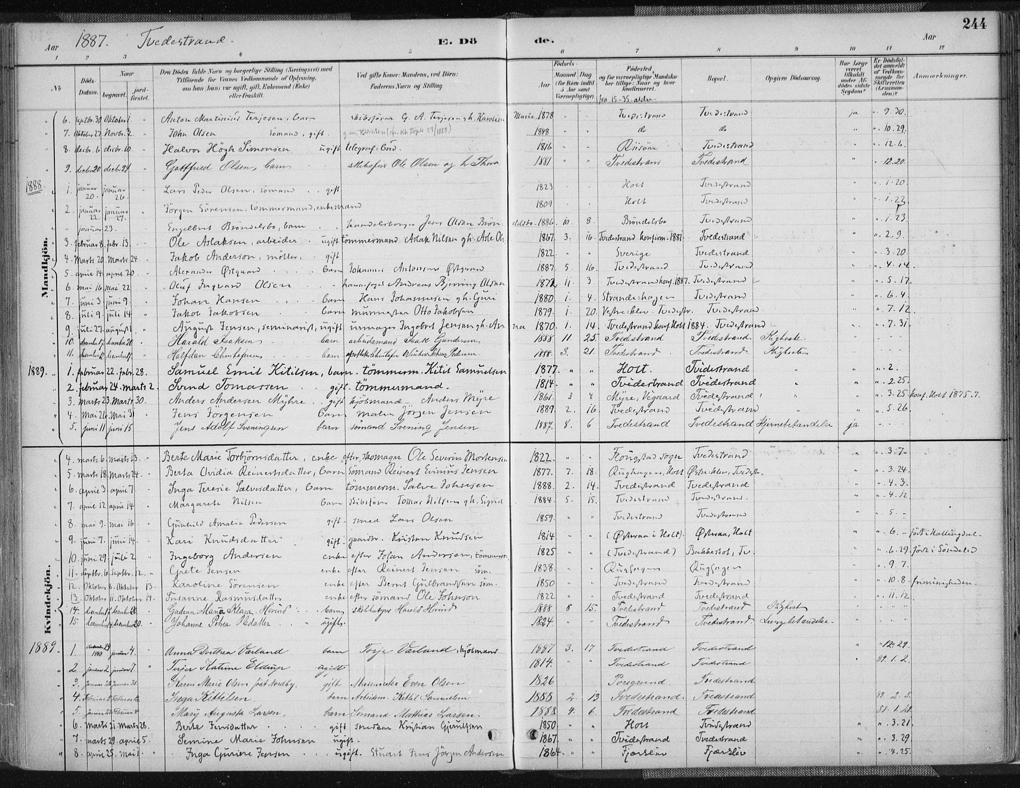 Tvedestrand sokneprestkontor, AV/SAK-1111-0042/F/Fa/L0001: Parish register (official) no. A 1, 1885-1916, p. 244