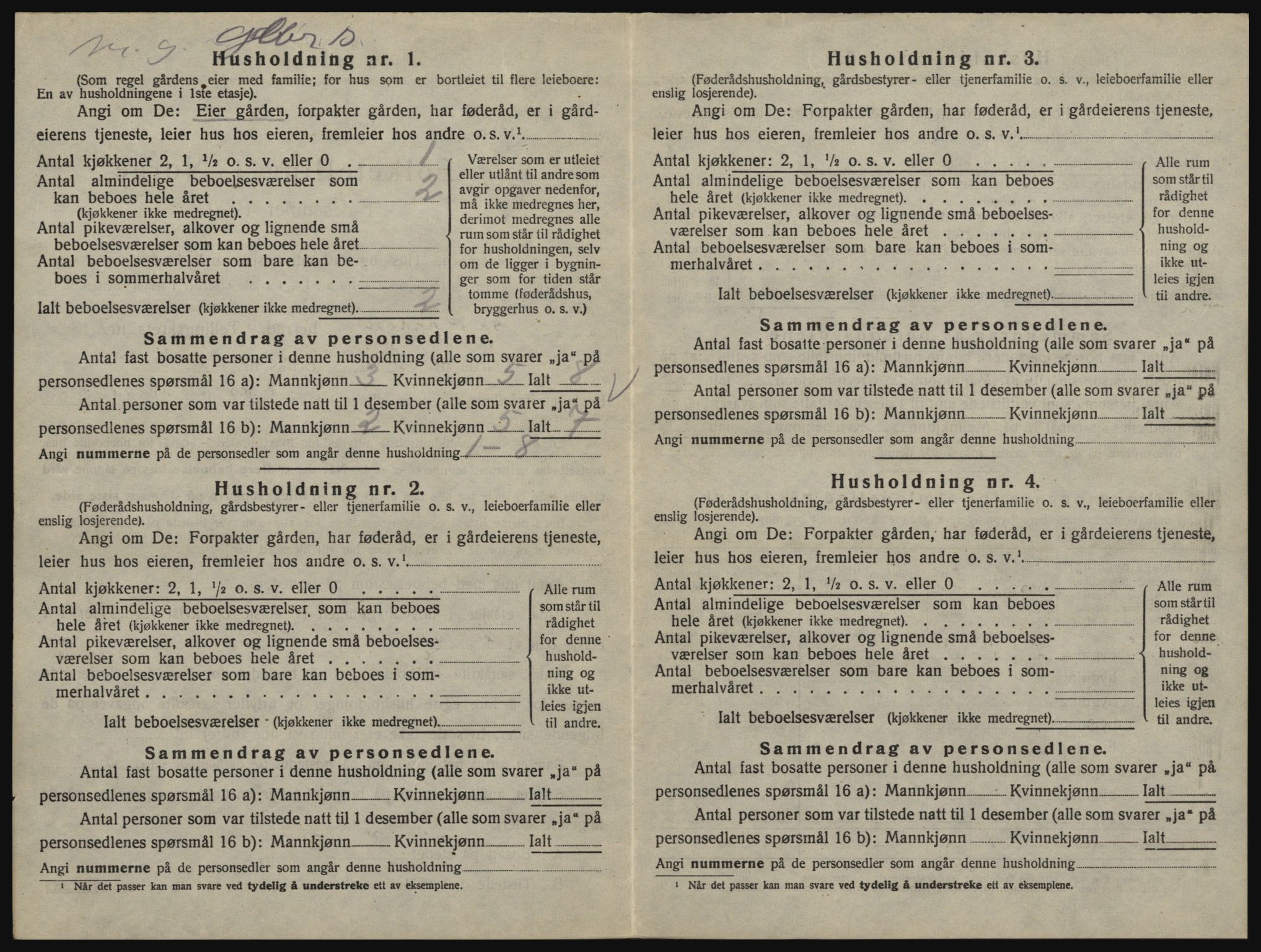 SAO, 1920 census for Skiptvet, 1920, p. 920