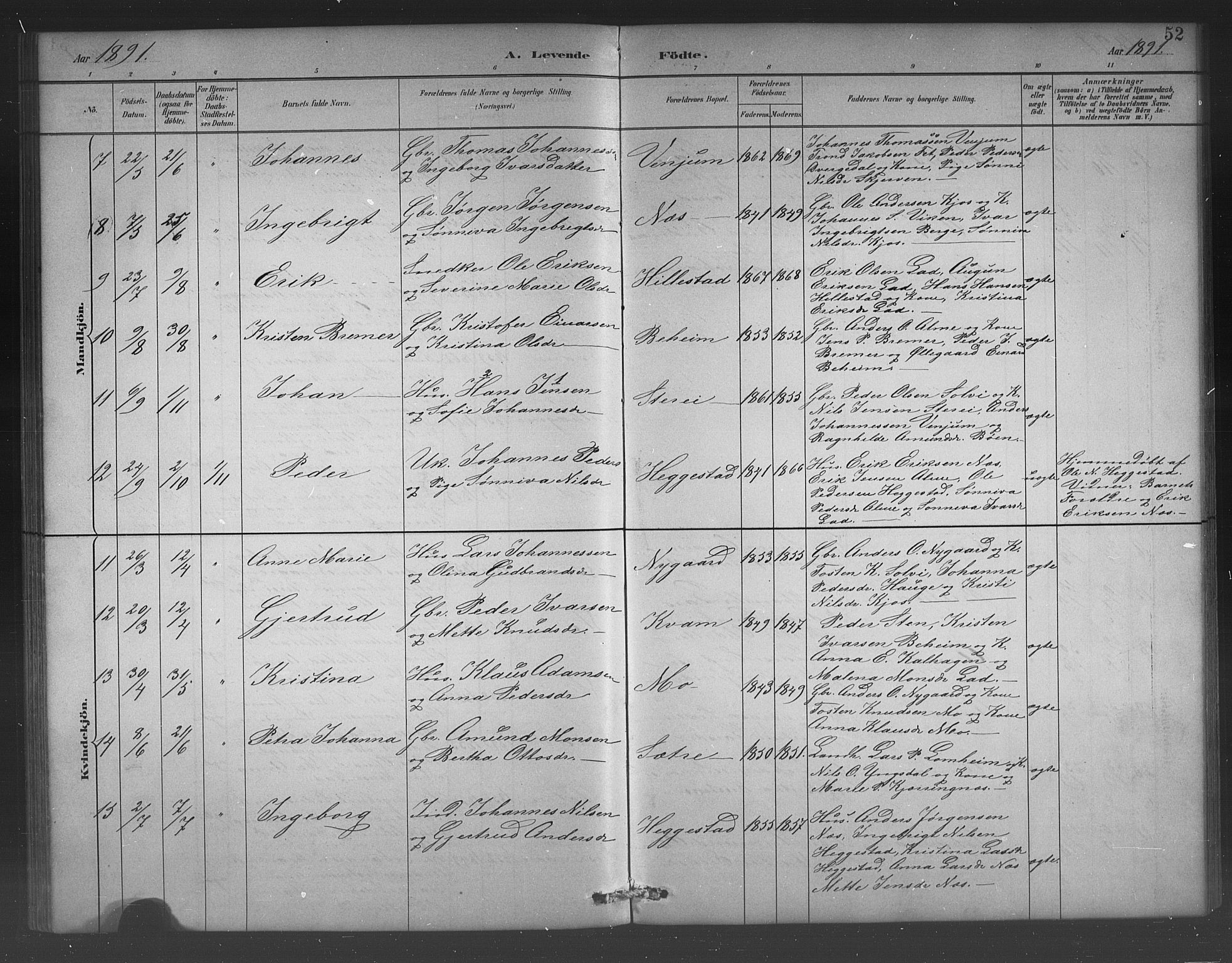 Hafslo sokneprestembete, AV/SAB-A-80301/H/Hab/Habb/L0001: Parish register (copy) no. B 1, 1882-1908, p. 52