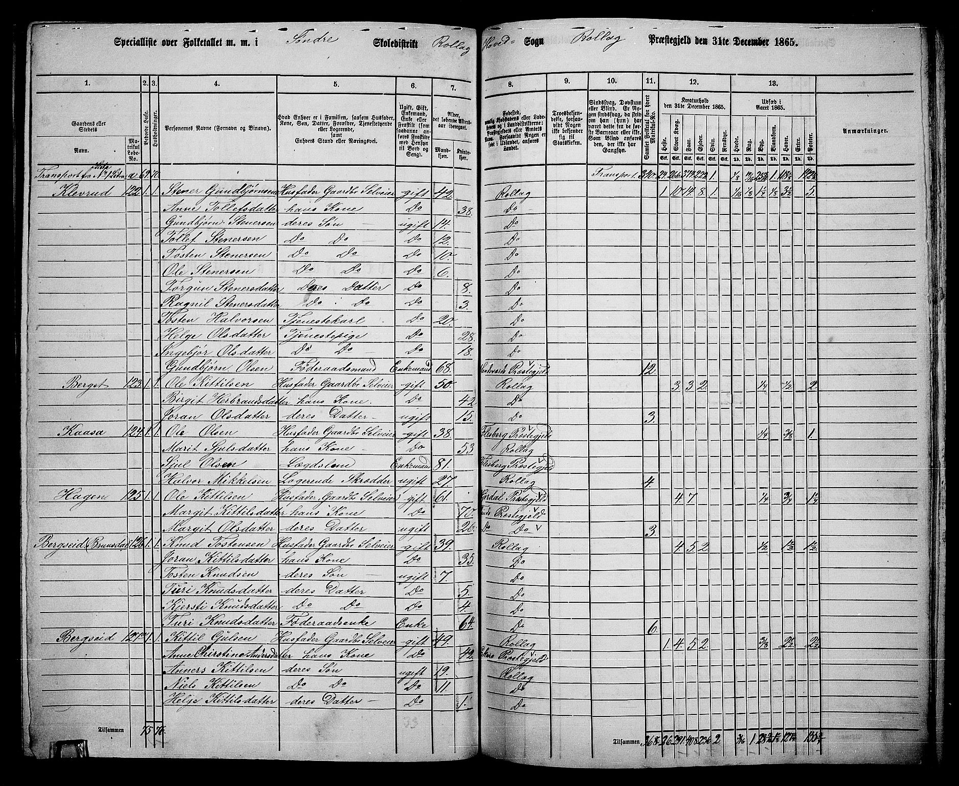 RA, 1865 census for Rollag, 1865, p. 20