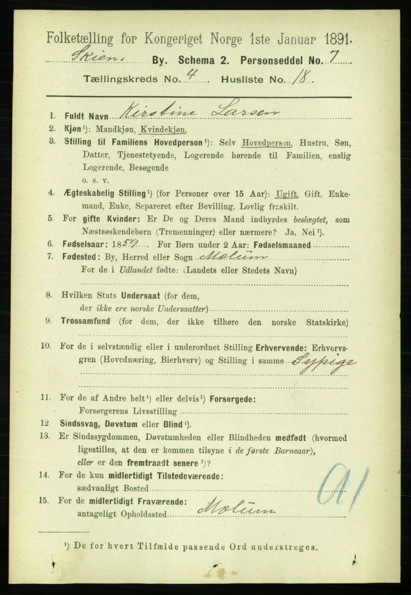 RA, 1891 census for 0806 Skien, 1891, p. 2862