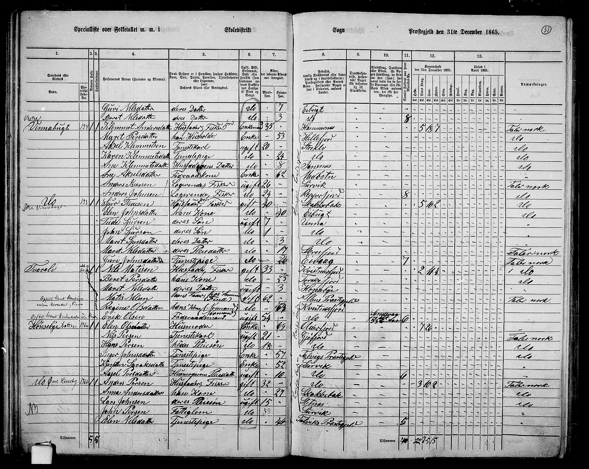 RA, 1865 census for Hammerfest/Hammerfest, 1865, p. 29