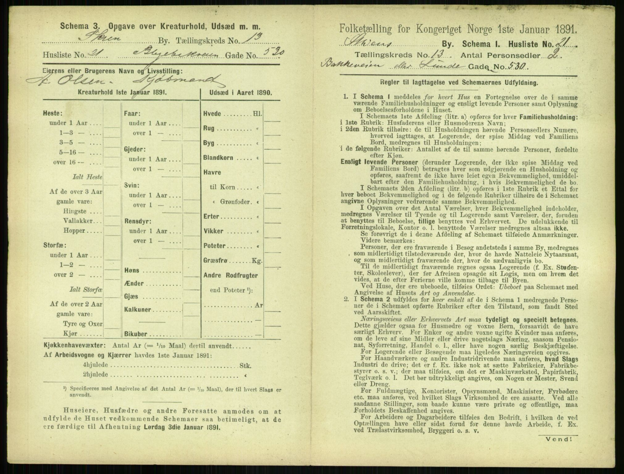 RA, 1891 census for 0806 Skien, 1891, p. 536