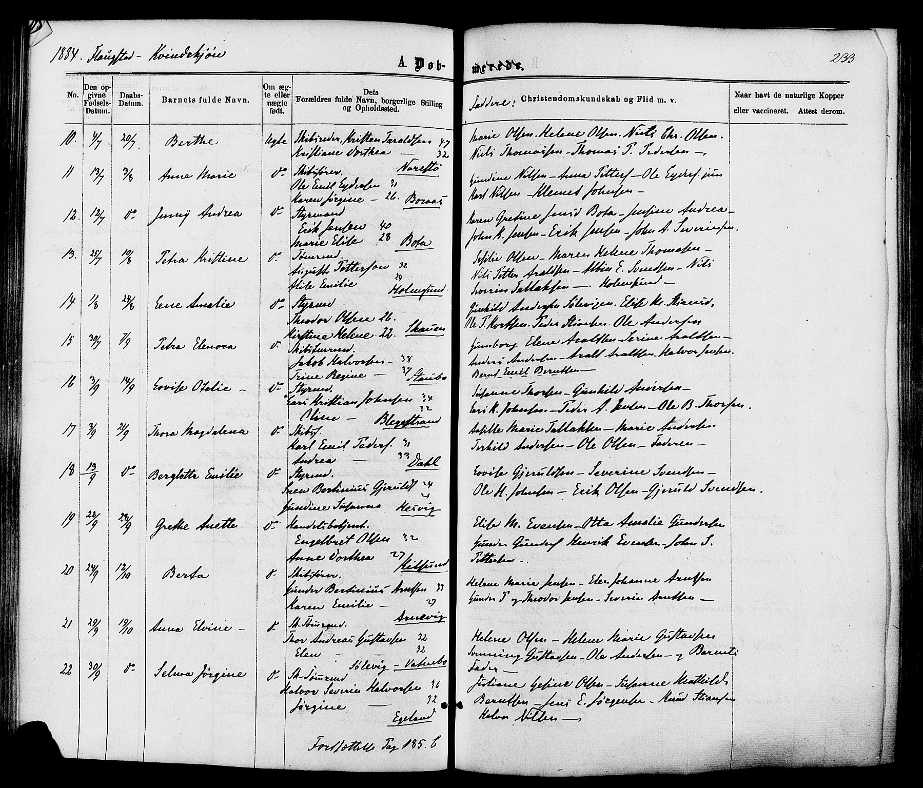 Dypvåg sokneprestkontor, SAK/1111-0007/F/Fa/Faa/L0007: Parish register (official) no. A 7 /2, 1877-1884, p. 233