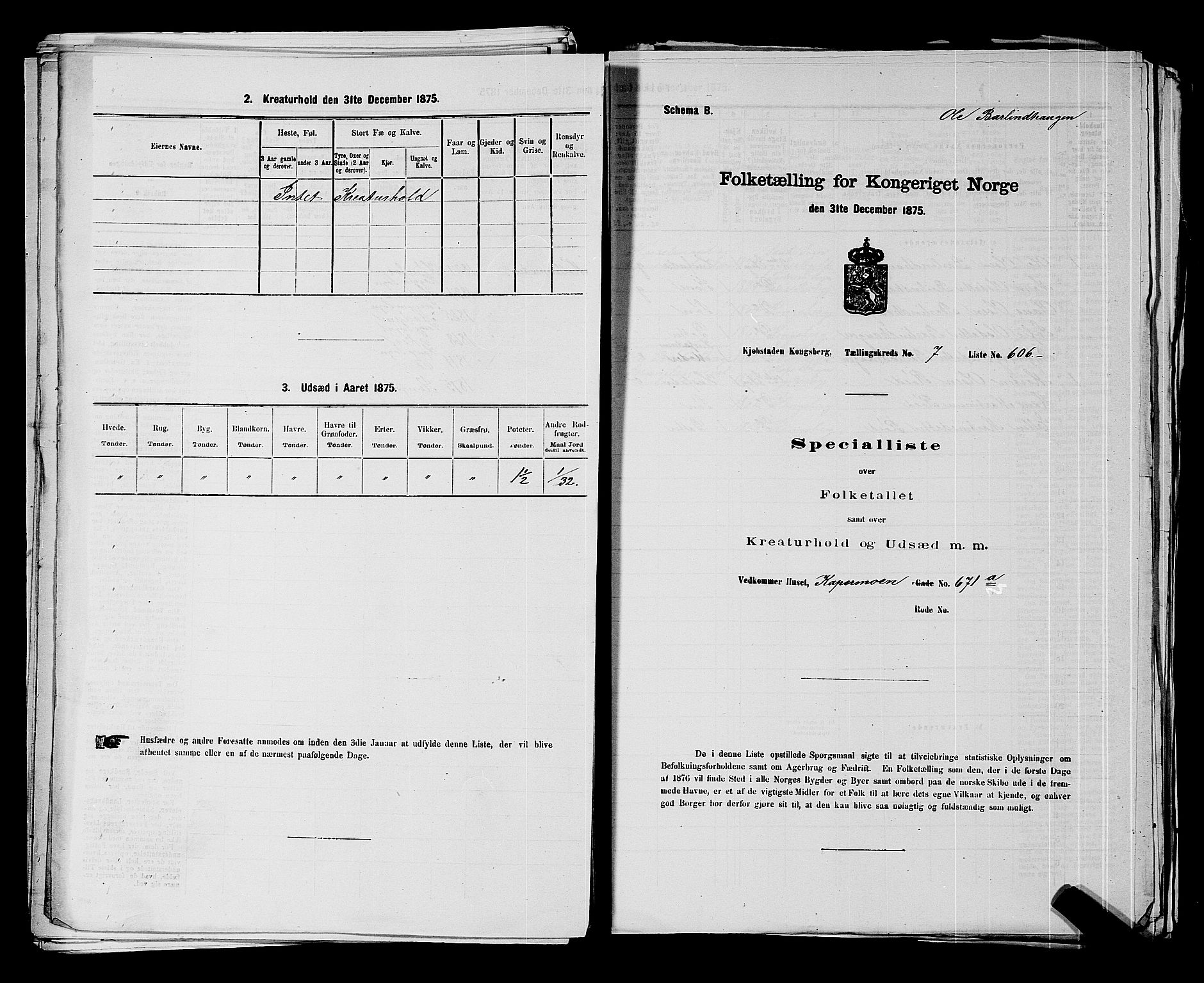 SAKO, 1875 census for 0604B Kongsberg/Kongsberg, 1875, p. 1336