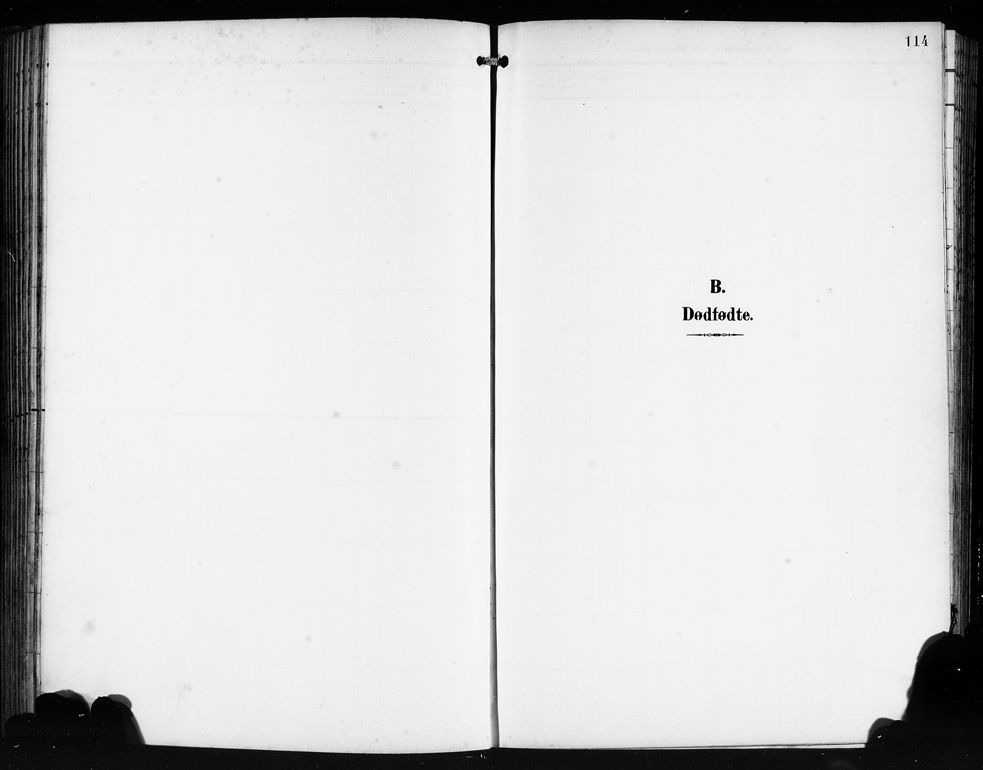 Tysnes sokneprestembete, SAB/A-78601/H/Hab: Parish register (copy) no. E 3, 1897-1913, p. 114