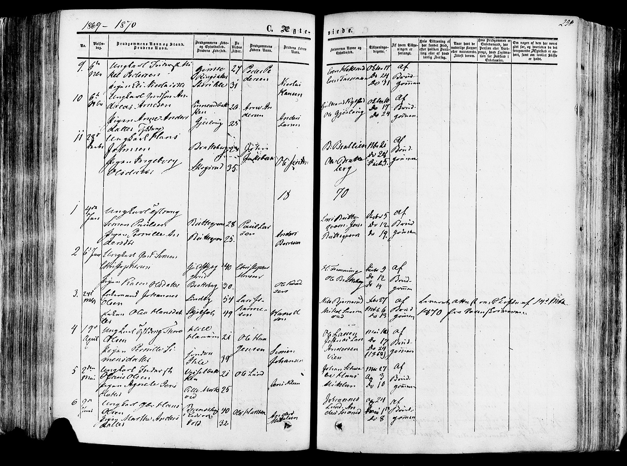 Vang prestekontor, Hedmark, SAH/PREST-008/H/Ha/Haa/L0013: Parish register (official) no. 13, 1855-1879, p. 250