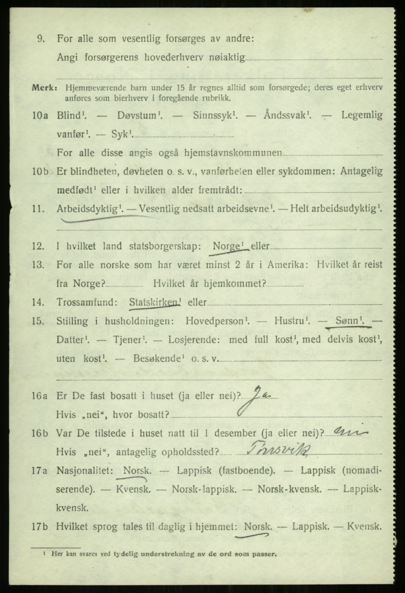 SATØ, 1920 census for Tromsøysund, 1920, p. 3195