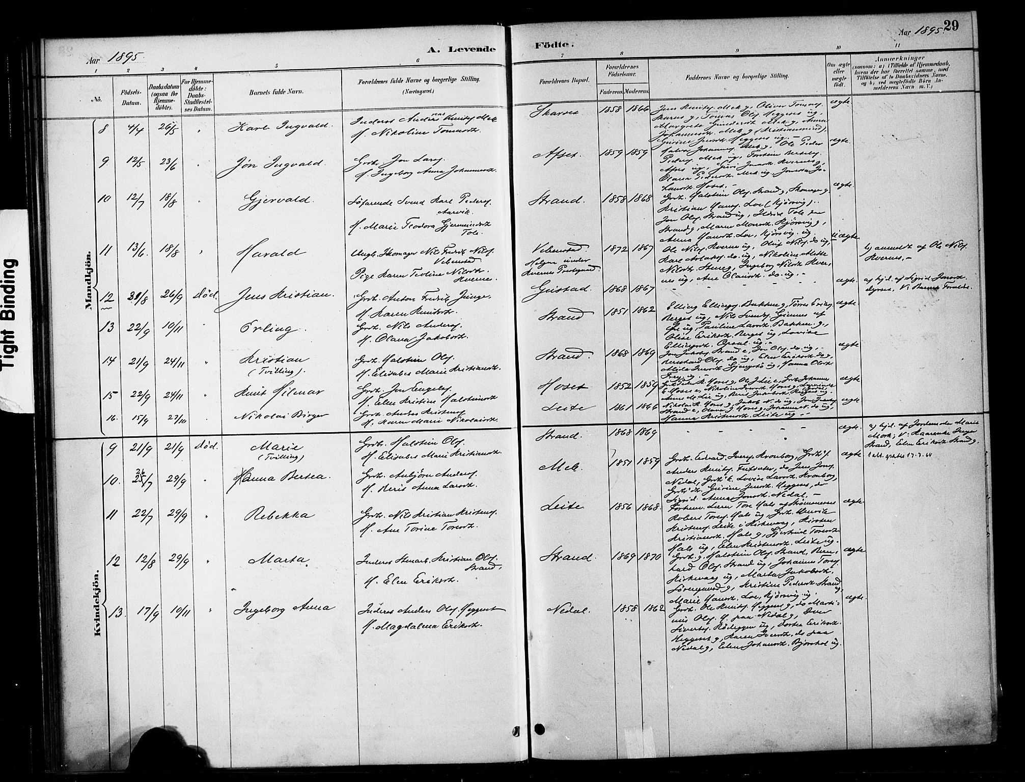 Ministerialprotokoller, klokkerbøker og fødselsregistre - Møre og Romsdal, AV/SAT-A-1454/568/L0809: Parish register (official) no. 568A13, 1884-1900, p. 29