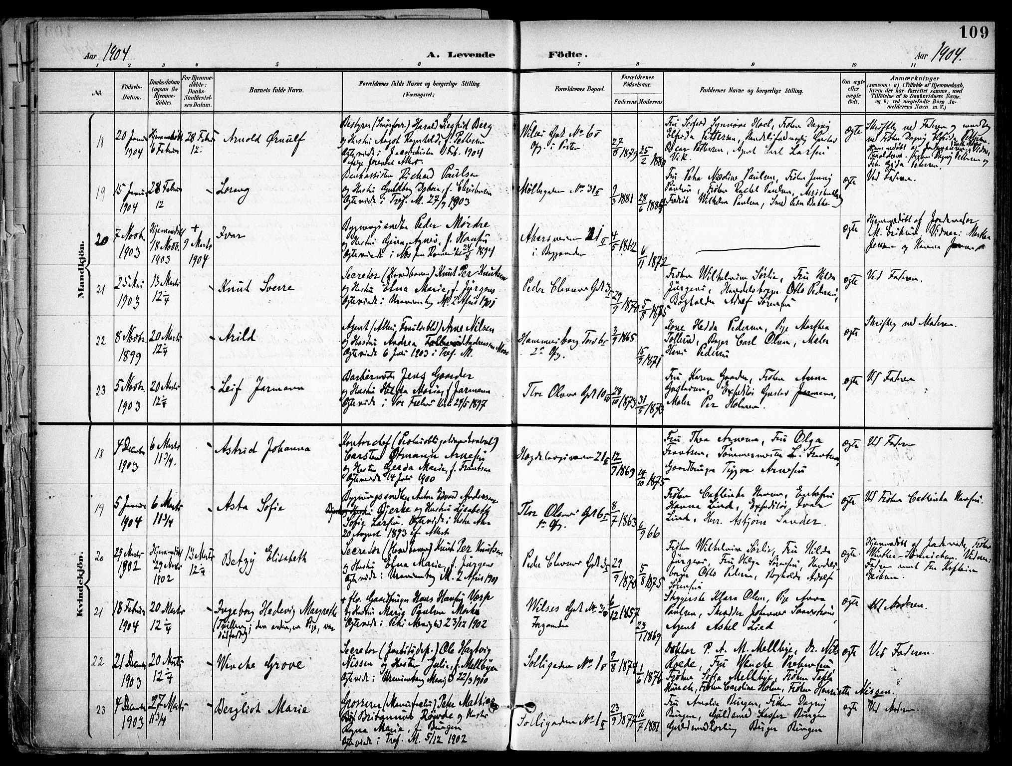 Trefoldighet prestekontor Kirkebøker, AV/SAO-A-10882/F/Fa/L0007: Parish register (official) no. I 7, 1900-1914, p. 109