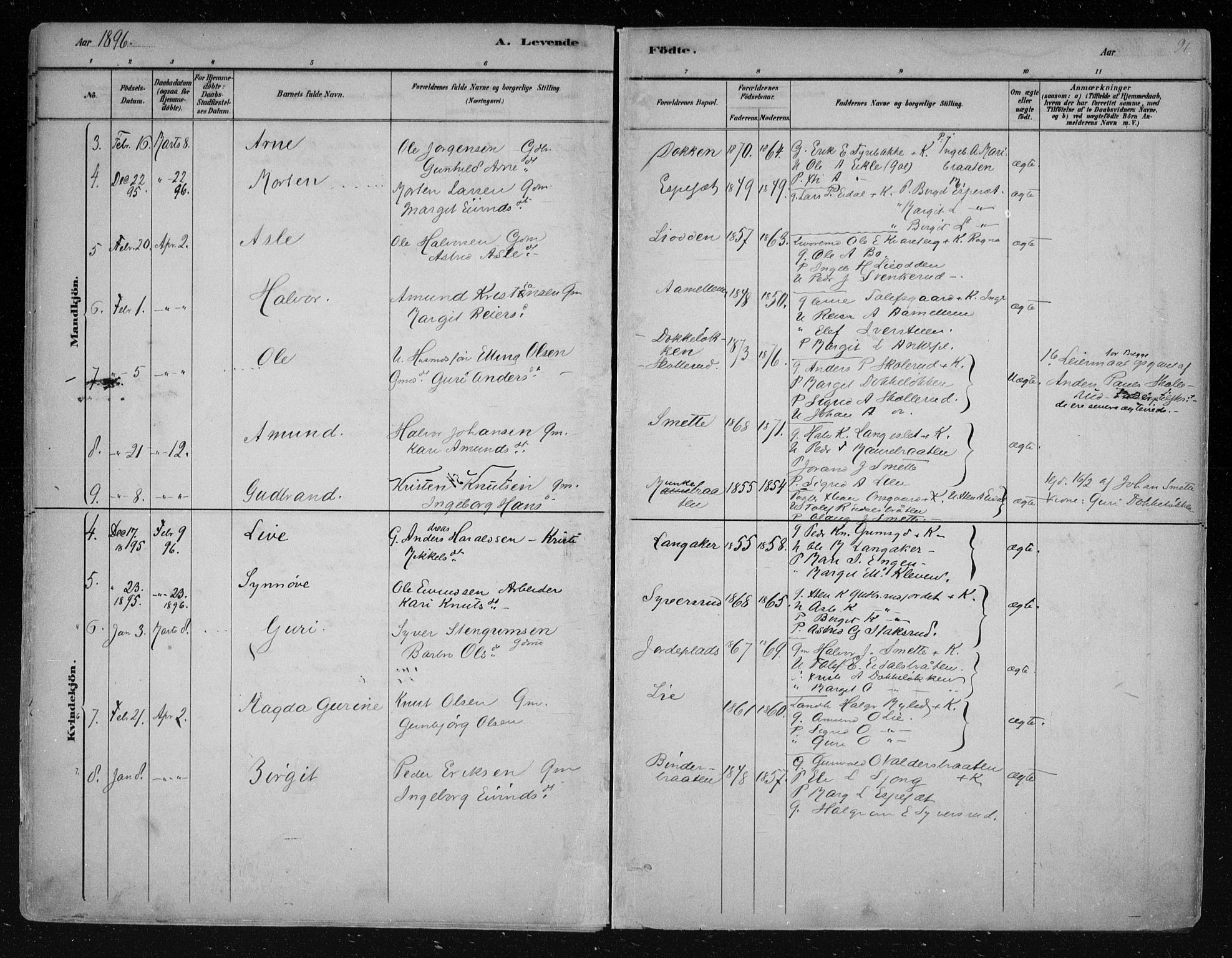 Nes kirkebøker, AV/SAKO-A-236/F/Fa/L0011: Parish register (official) no. 11, 1881-1912, p. 91