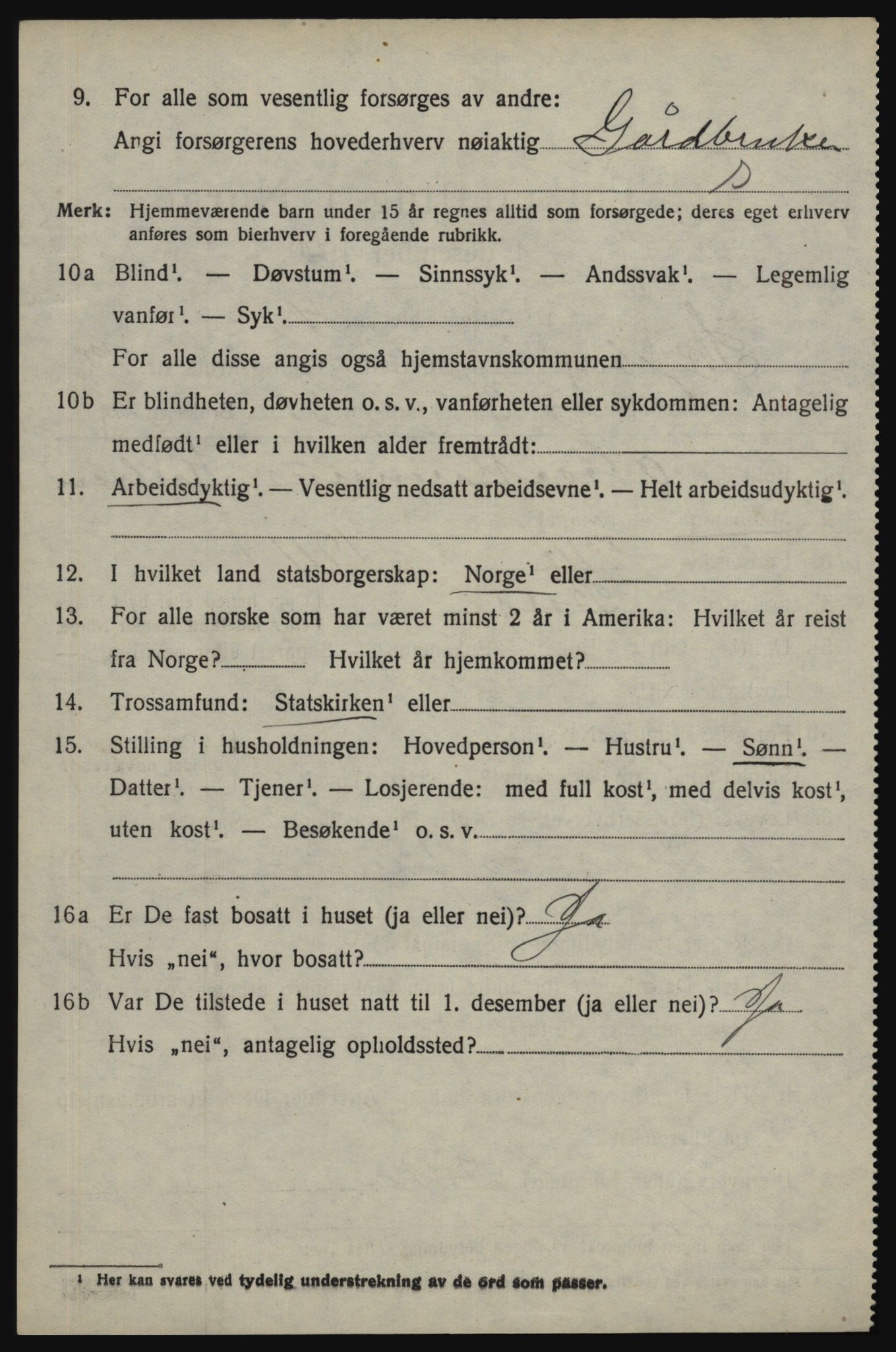 SAO, 1920 census for Skjeberg, 1920, p. 11664