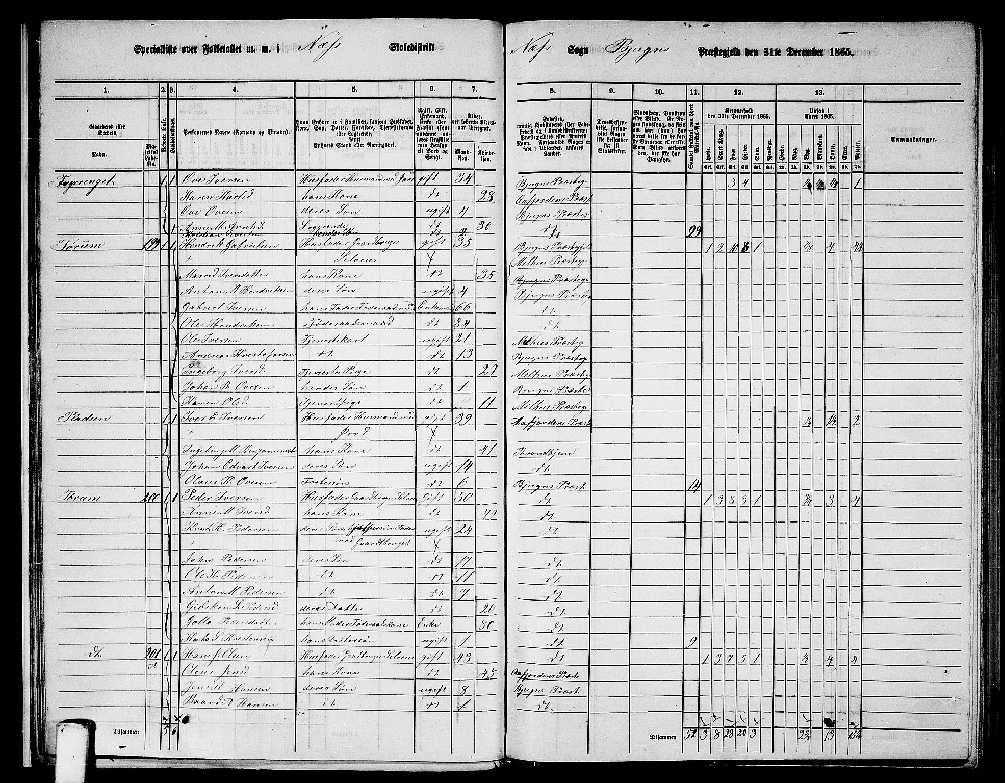 RA, 1865 census for Bjugn, 1865, p. 20