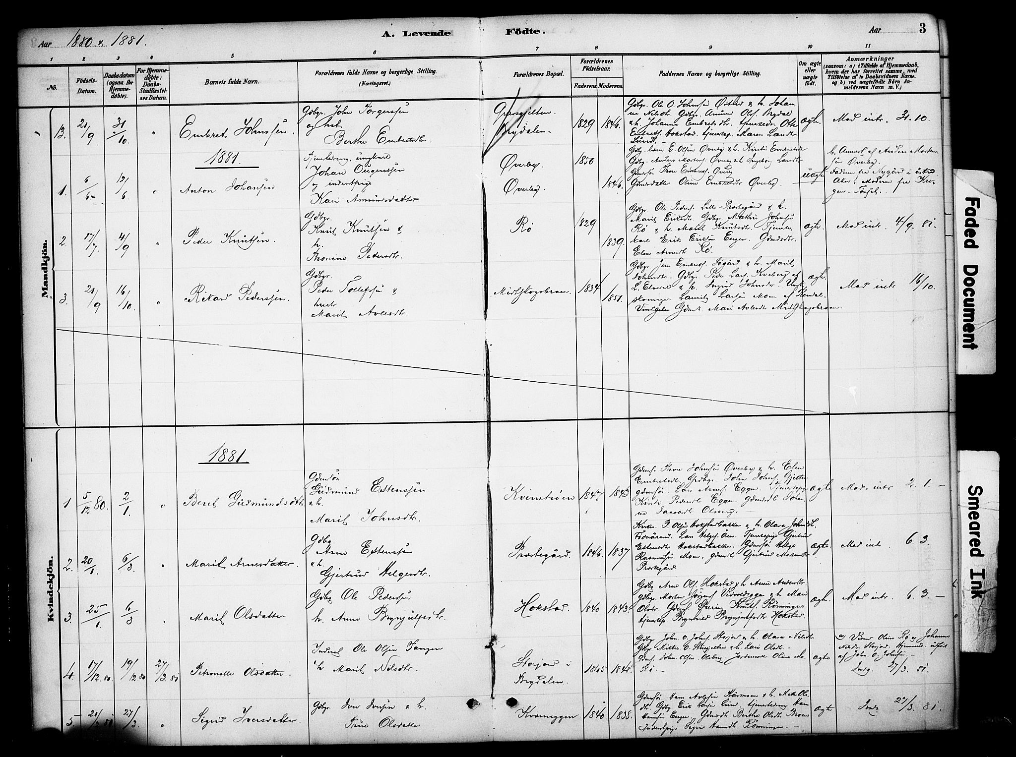 Tynset prestekontor, SAH/PREST-058/H/Ha/Haa/L0023: Parish register (official) no. 23, 1880-1901, p. 3
