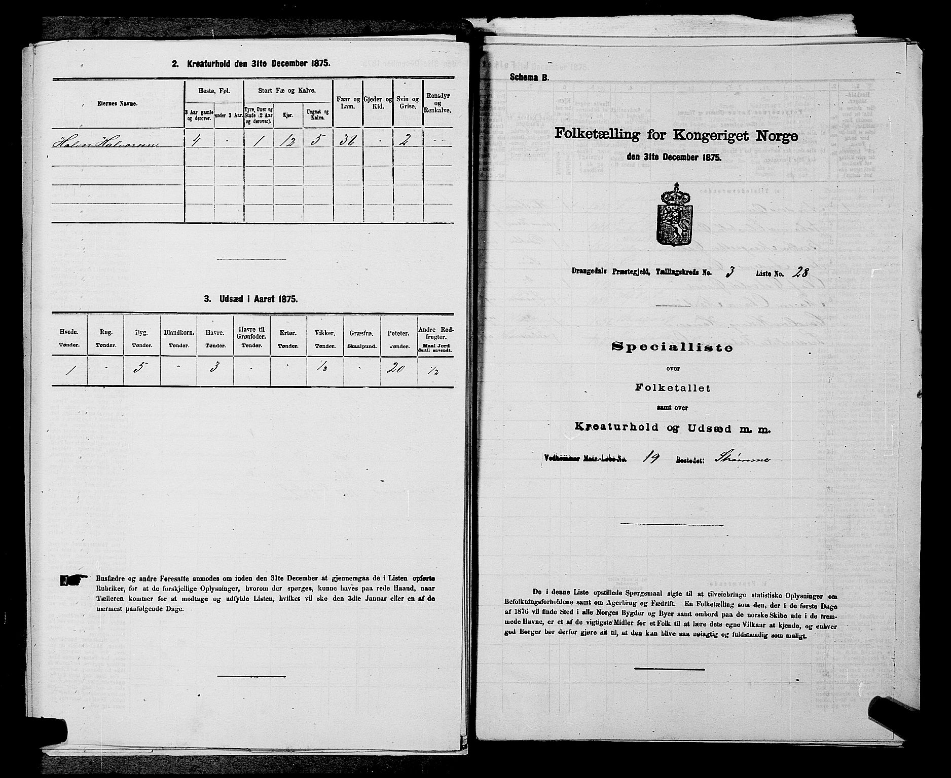 SAKO, 1875 census for 0817P Drangedal, 1875, p. 384