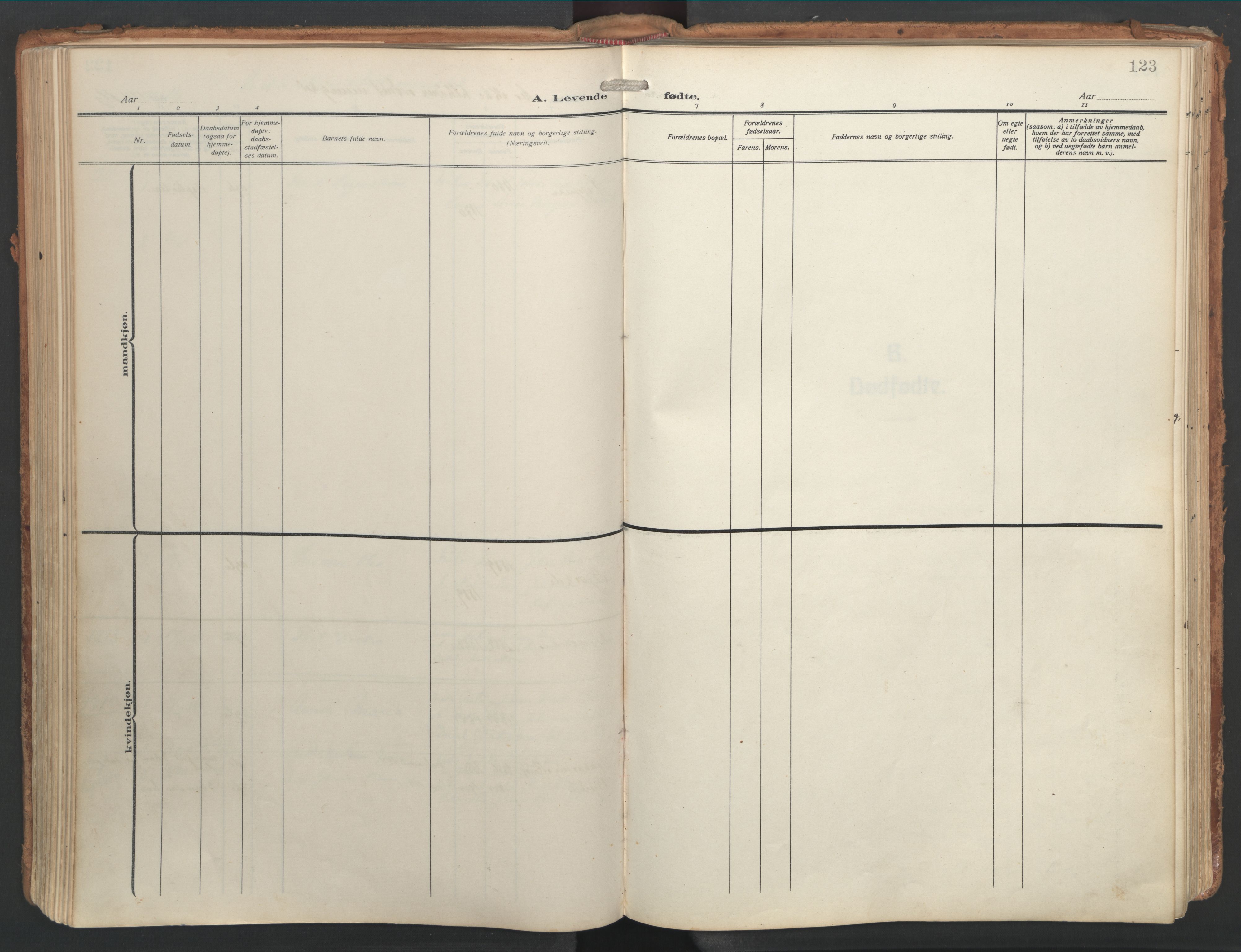 Ministerialprotokoller, klokkerbøker og fødselsregistre - Nordland, AV/SAT-A-1459/841/L0614: Parish register (official) no. 841A17, 1911-1925, p. 123