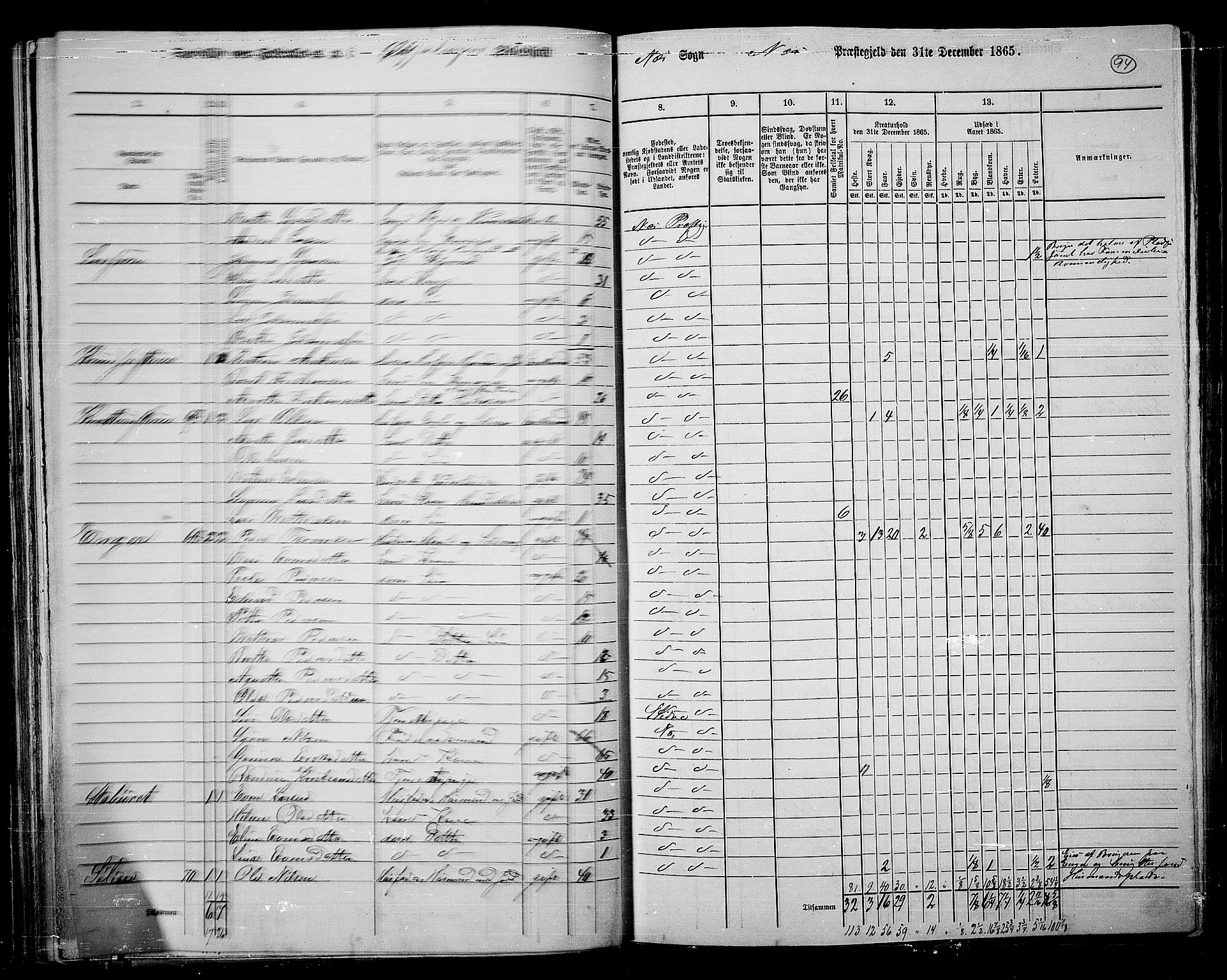 RA, 1865 census for Nes, 1865, p. 82