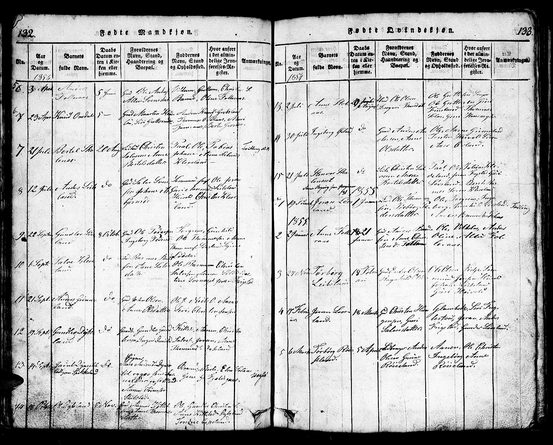 Bjelland sokneprestkontor, SAK/1111-0005/F/Fb/Fbb/L0003: Parish register (copy) no. B 3, 1816-1868, p. 132-133